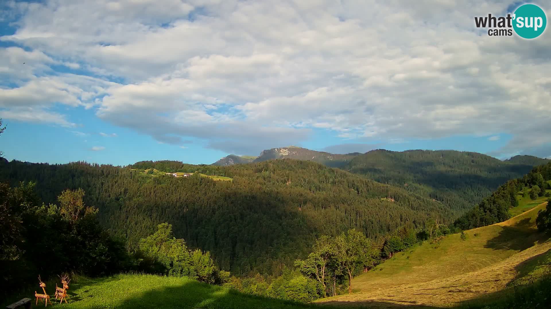 Webcam Brunarica Dražgoše – Vista live sul Ratitovec (1666 m)