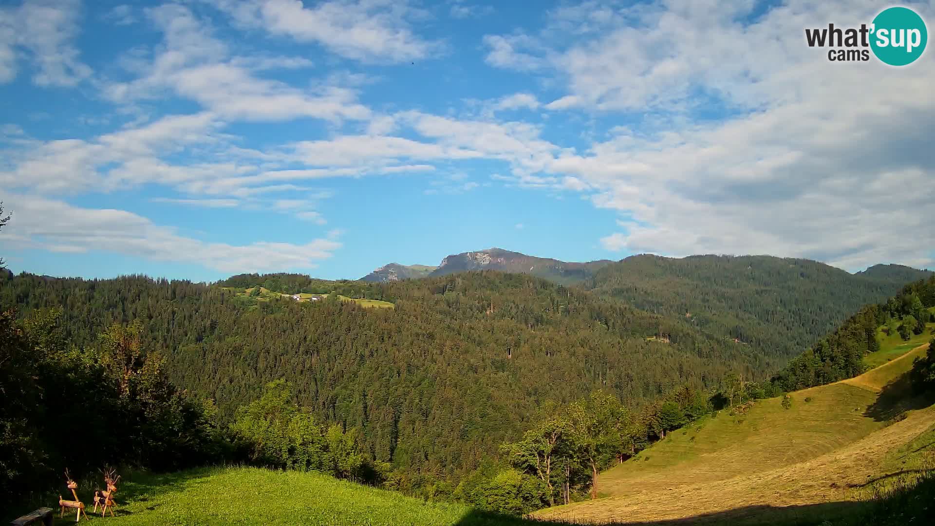 Webcam Brunarica Dražgoše – Live View of Ratitovec (1666 m)