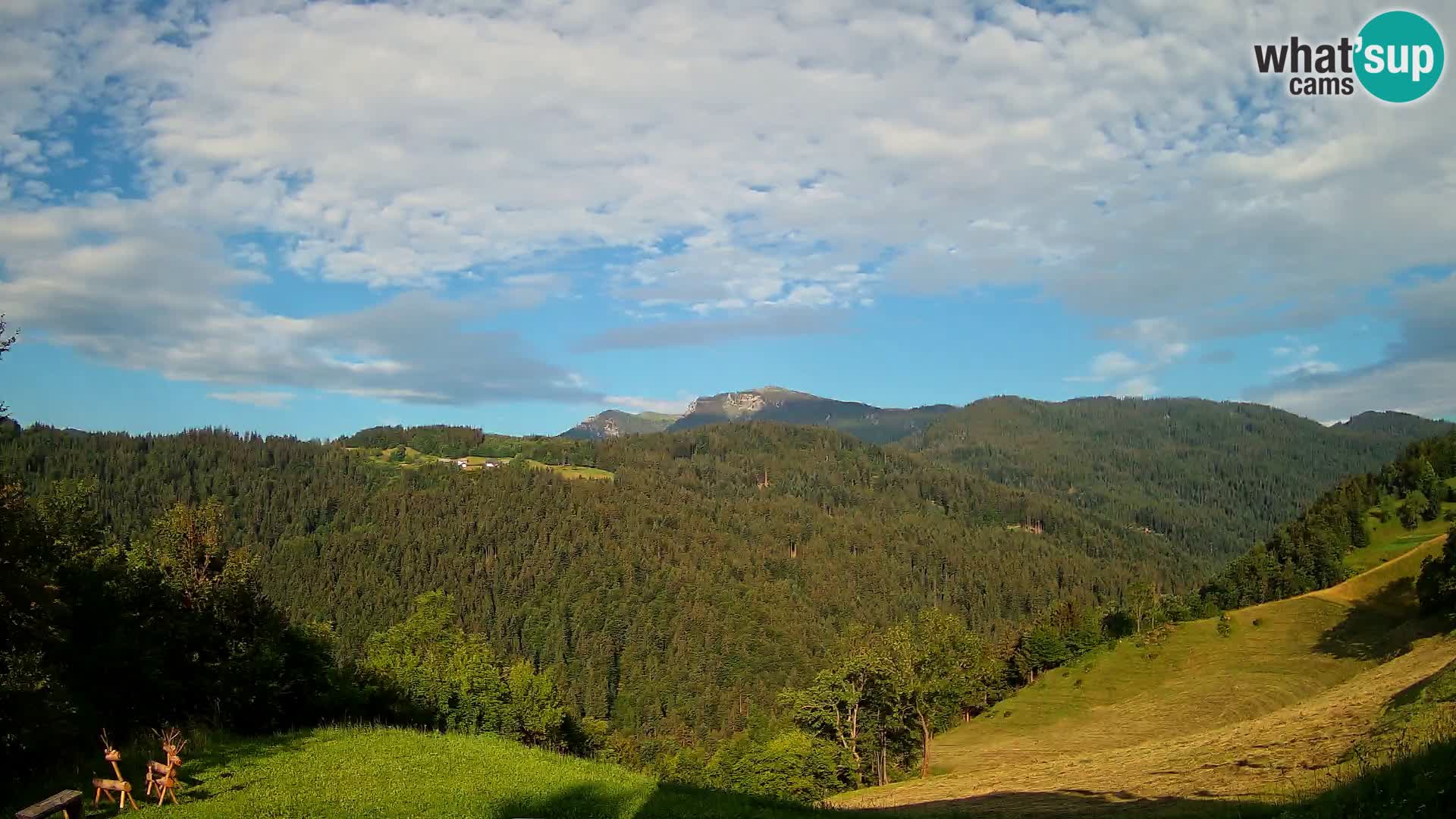 Spletna kamera Brunarica Dražgoše – Pogled v živo na Ratitovec (1666 m)