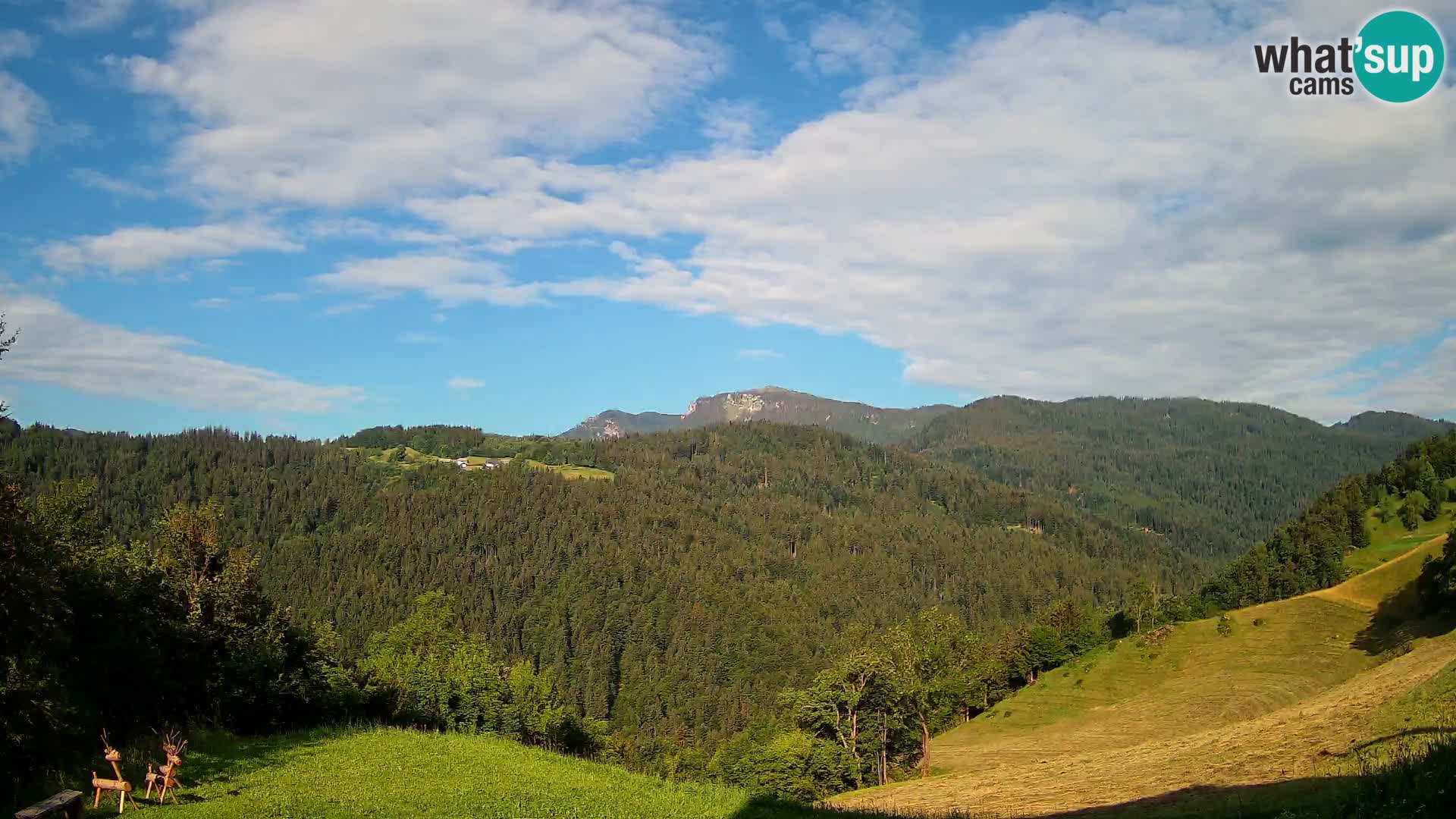 Webcam Brunarica Dražgoše – Live View of Ratitovec (1666 m)