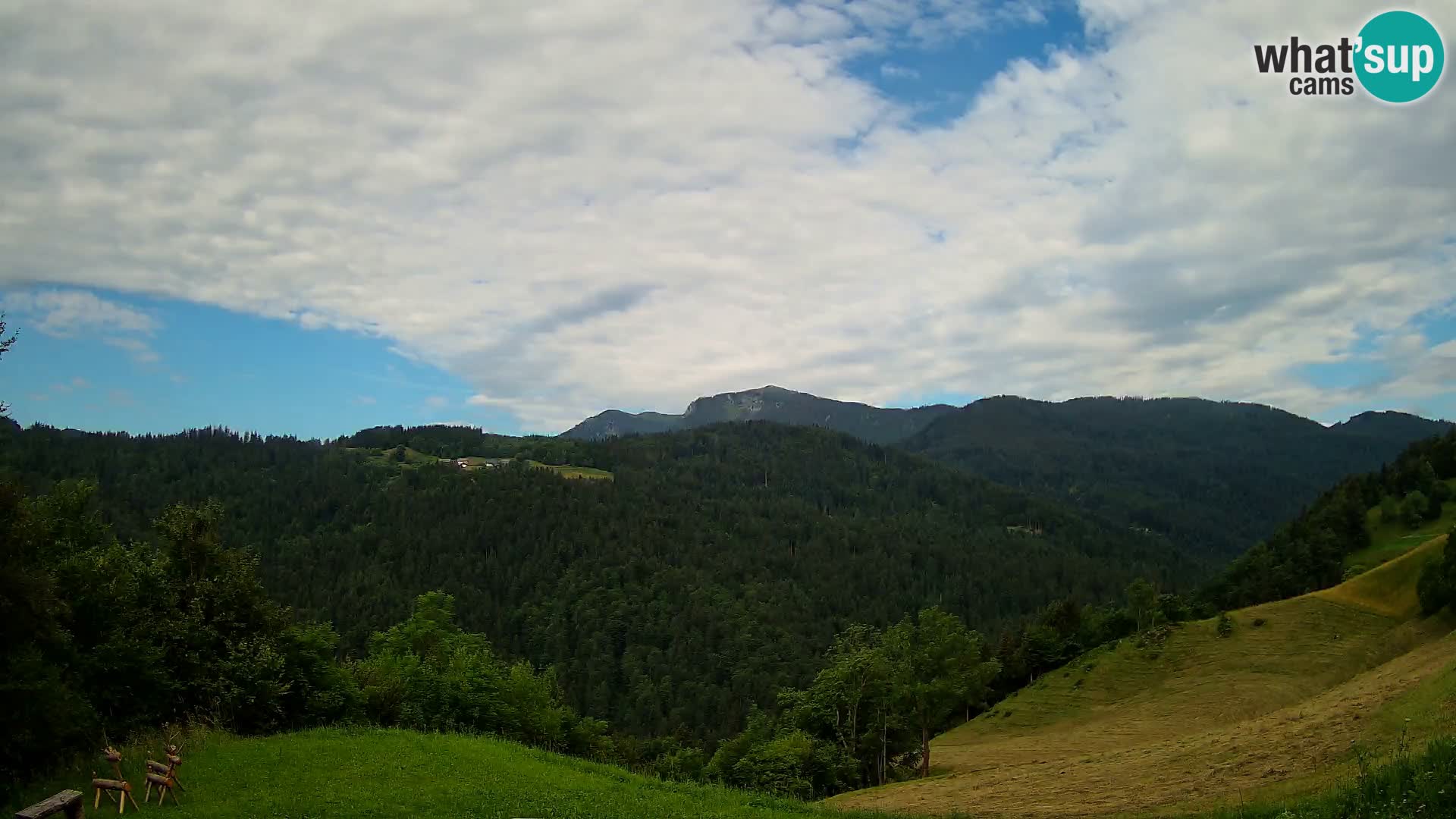 Webcam Brunarica Dražgoše – Live View of Ratitovec (1666 m)