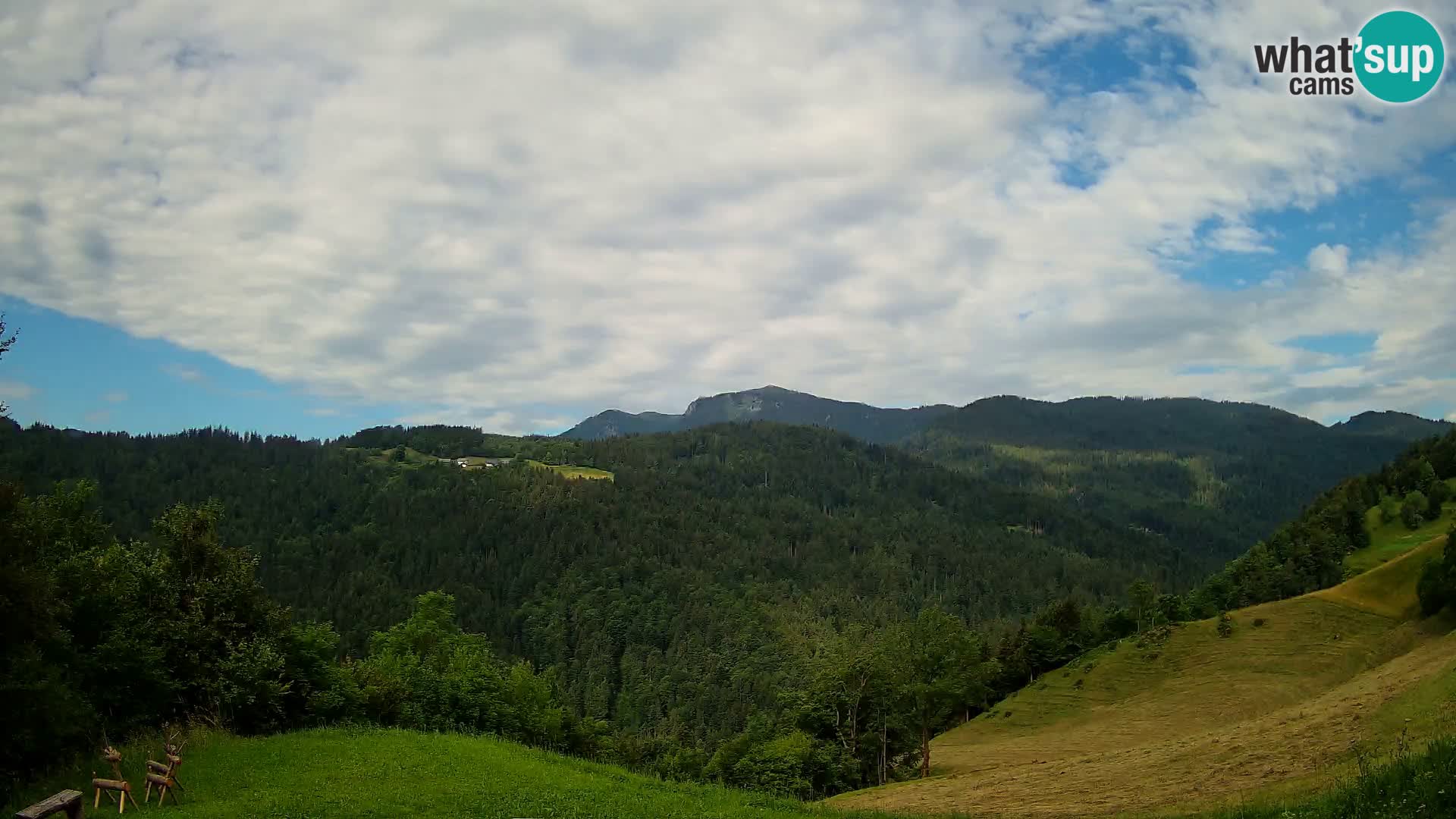 Webcam Brunarica Dražgoše – Live View of Ratitovec (1666 m)