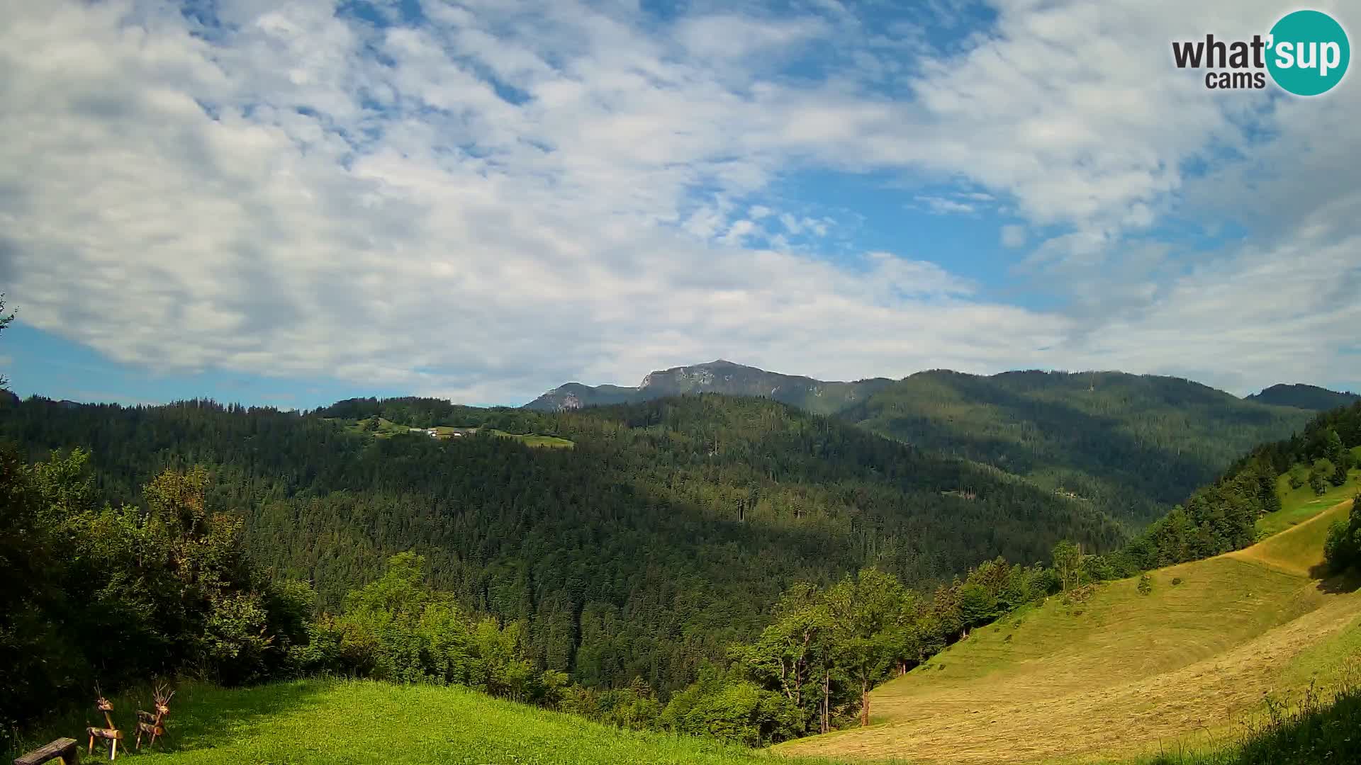 Spletna kamera Brunarica Dražgoše – Pogled v živo na Ratitovec (1666 m)