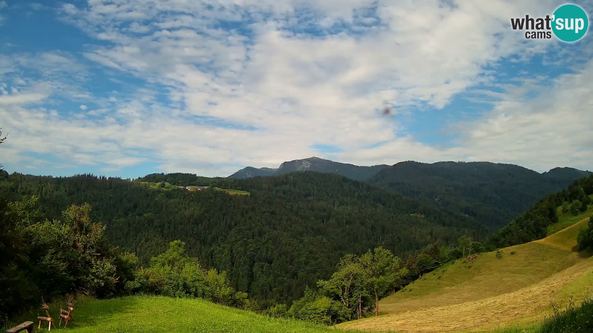 Web kamera Brunarica Dražgoše – Pogled uživo na Ratitovec (1666 m)