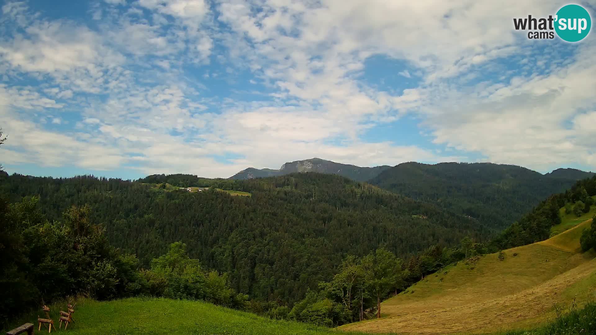Webcam Brunarica Dražgoše – Live View of Ratitovec (1666 m)