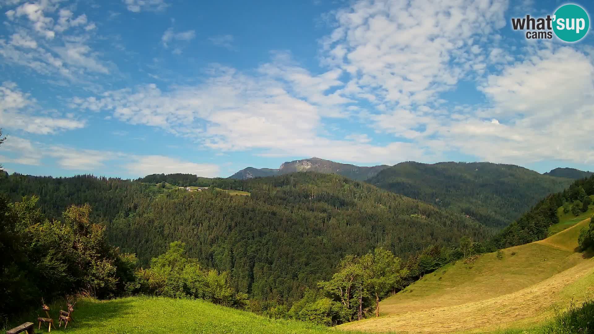 Spletna kamera Brunarica Dražgoše – Pogled v živo na Ratitovec (1666 m)