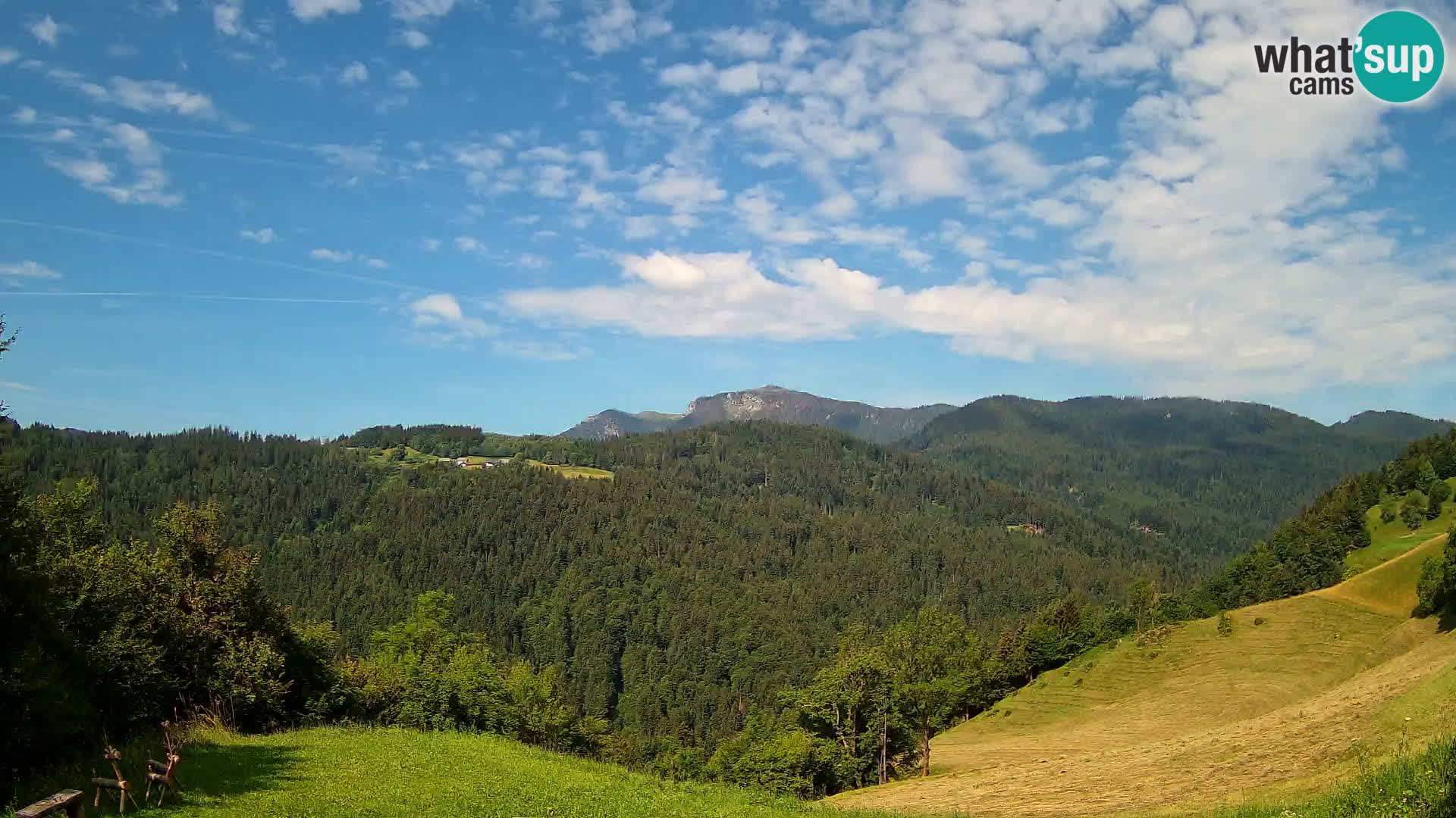 Webcam Brunarica Dražgoše – Live View of Ratitovec (1666 m)