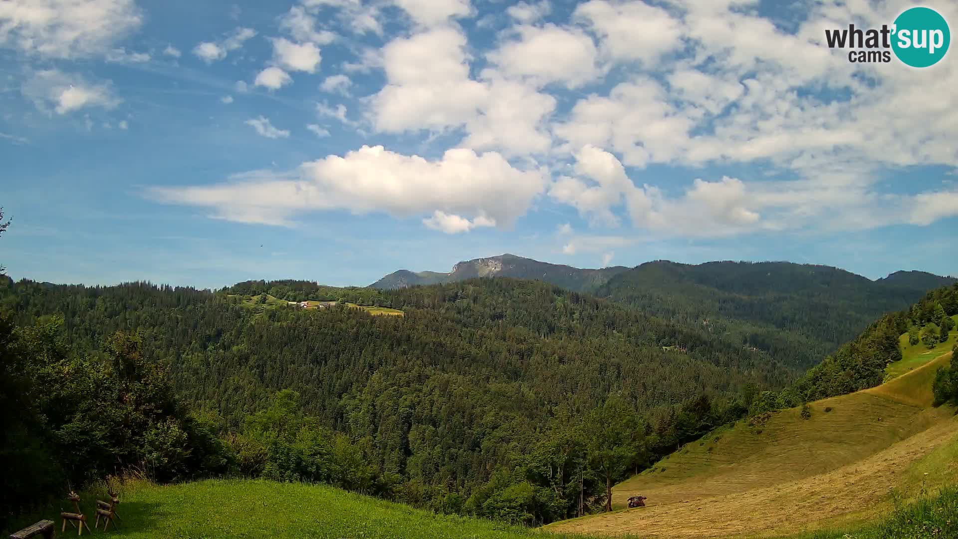 Webcam Brunarica Dražgoše – Live View of Ratitovec (1666 m)