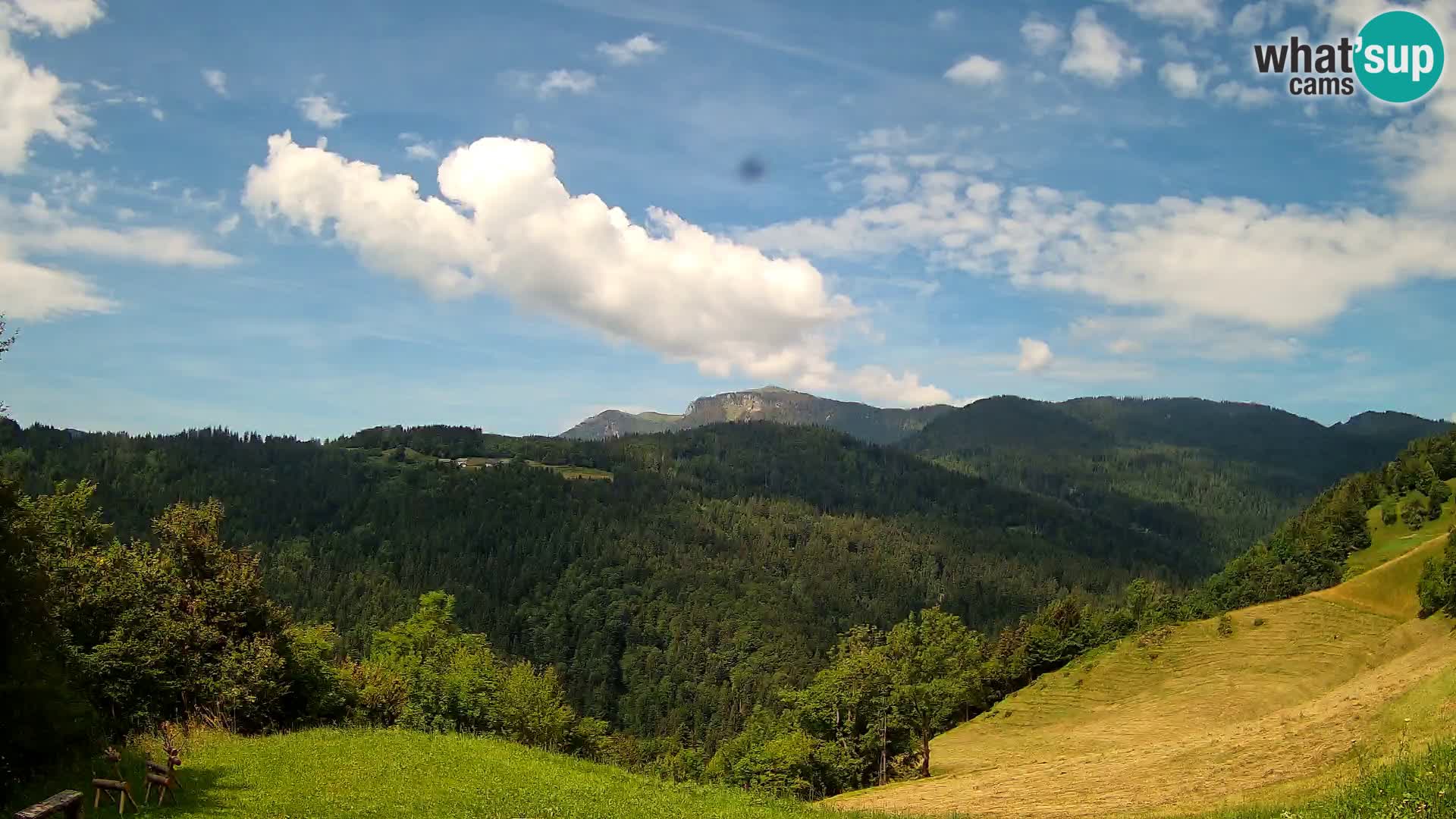 Webcam Brunarica Dražgoše – Live View of Ratitovec (1666 m)