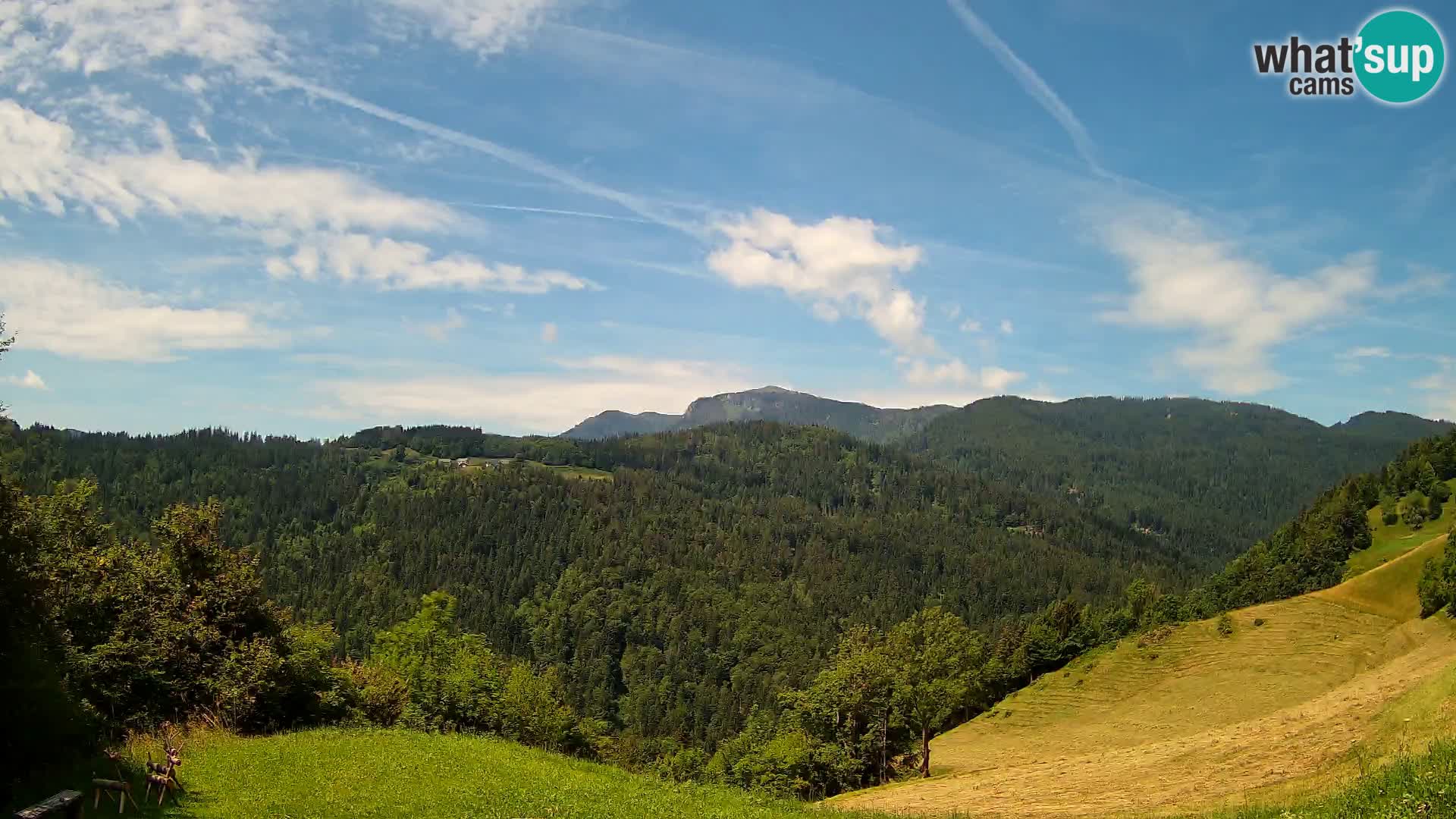 Webcam Brunarica Dražgoše – Live View of Ratitovec (1666 m)