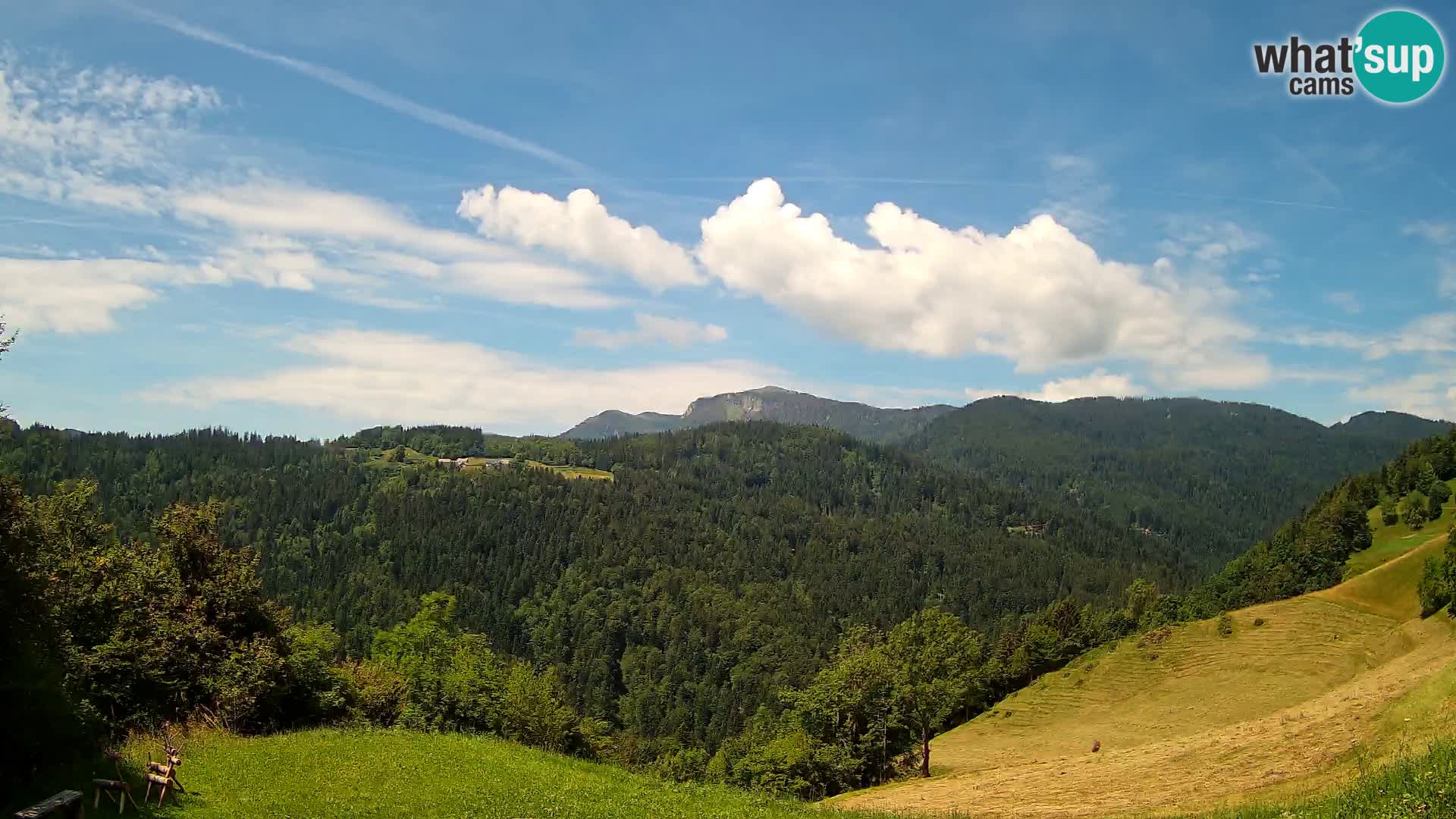 Spletna kamera Brunarica Dražgoše – Pogled v živo na Ratitovec (1666 m)