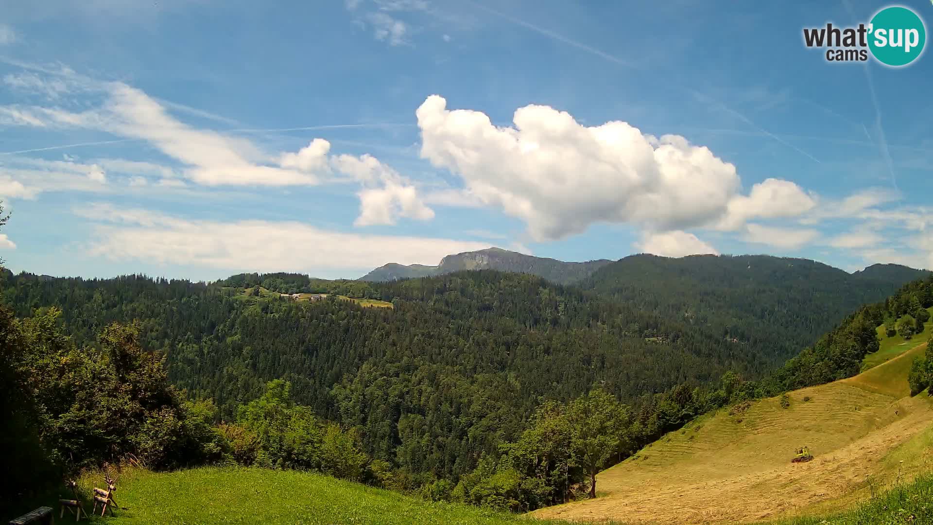 Webcam Brunarica Dražgoše – Live View of Ratitovec (1666 m)