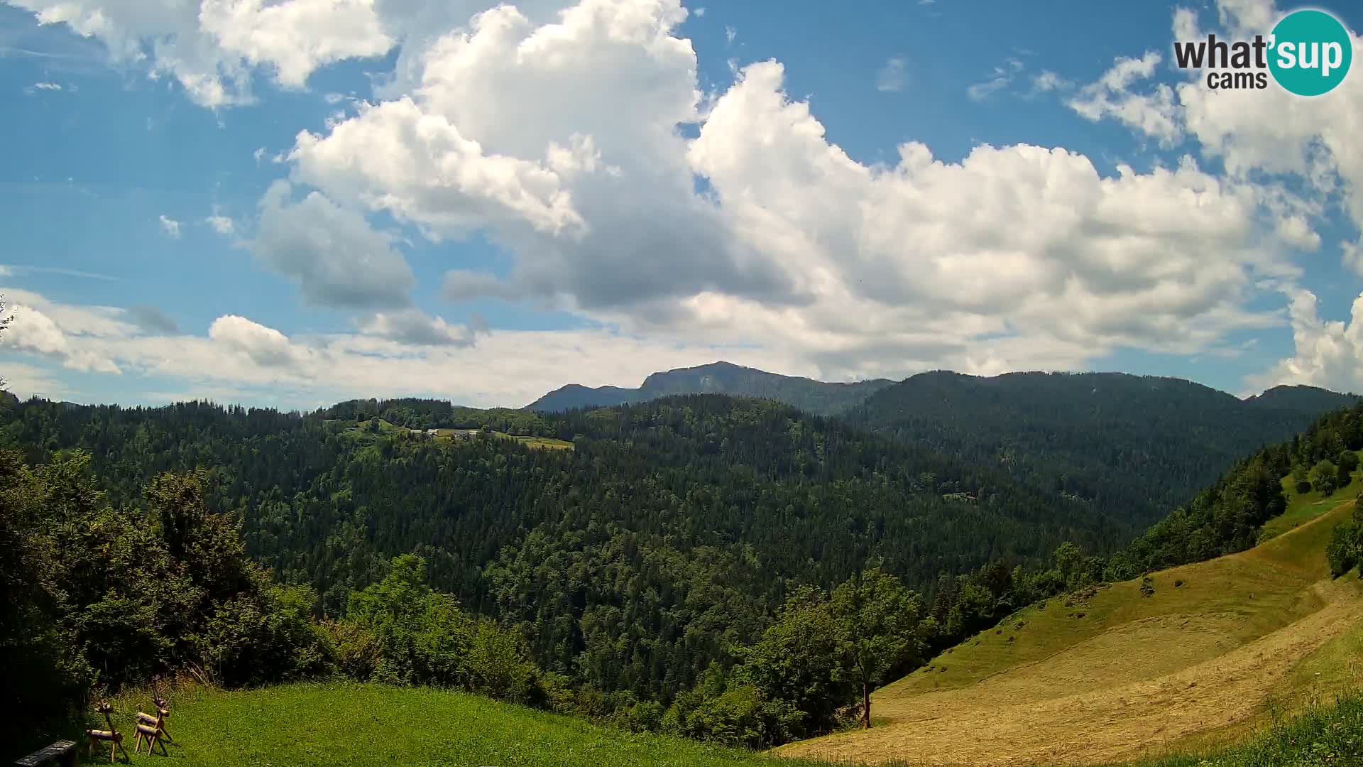 Webcam Brunarica Dražgoše – Live View of Ratitovec (1666 m)