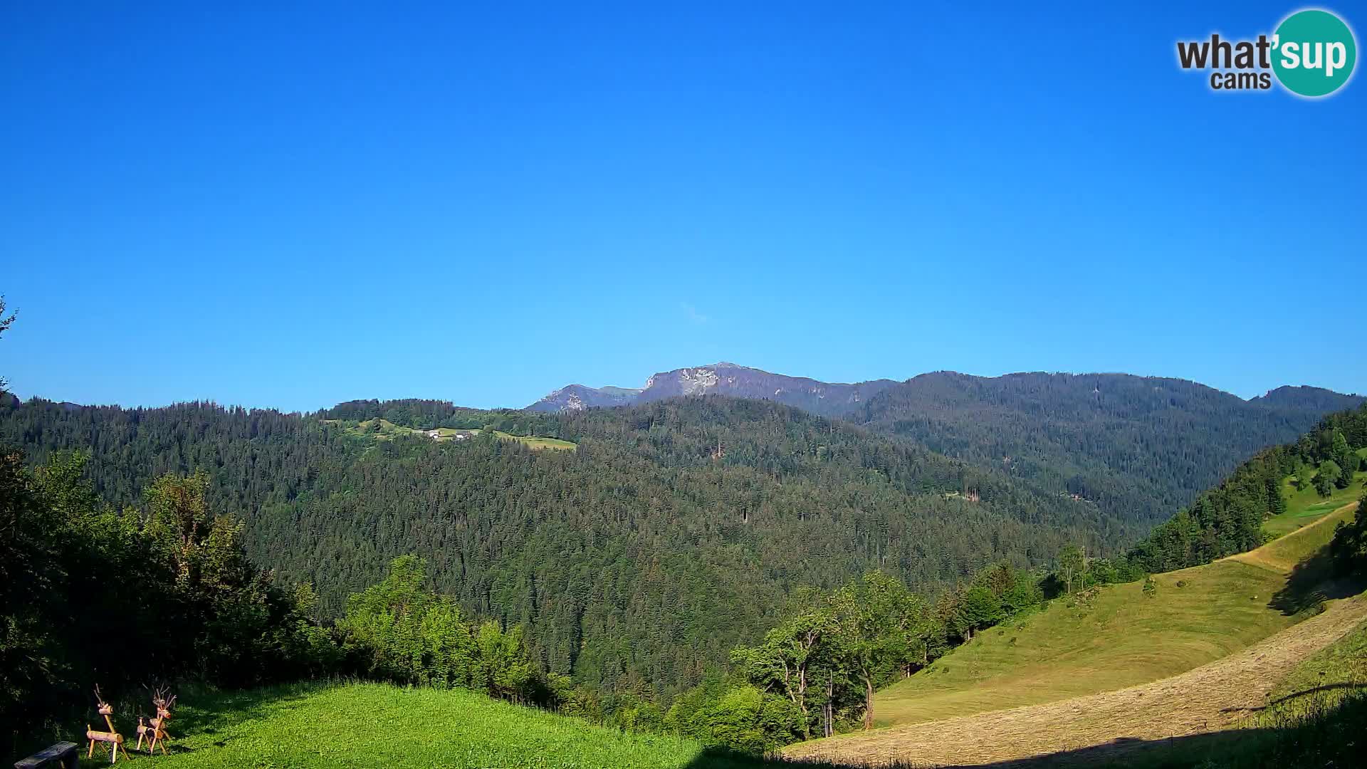 Webcam Brunarica Dražgoše – Live View of Ratitovec (1666 m)