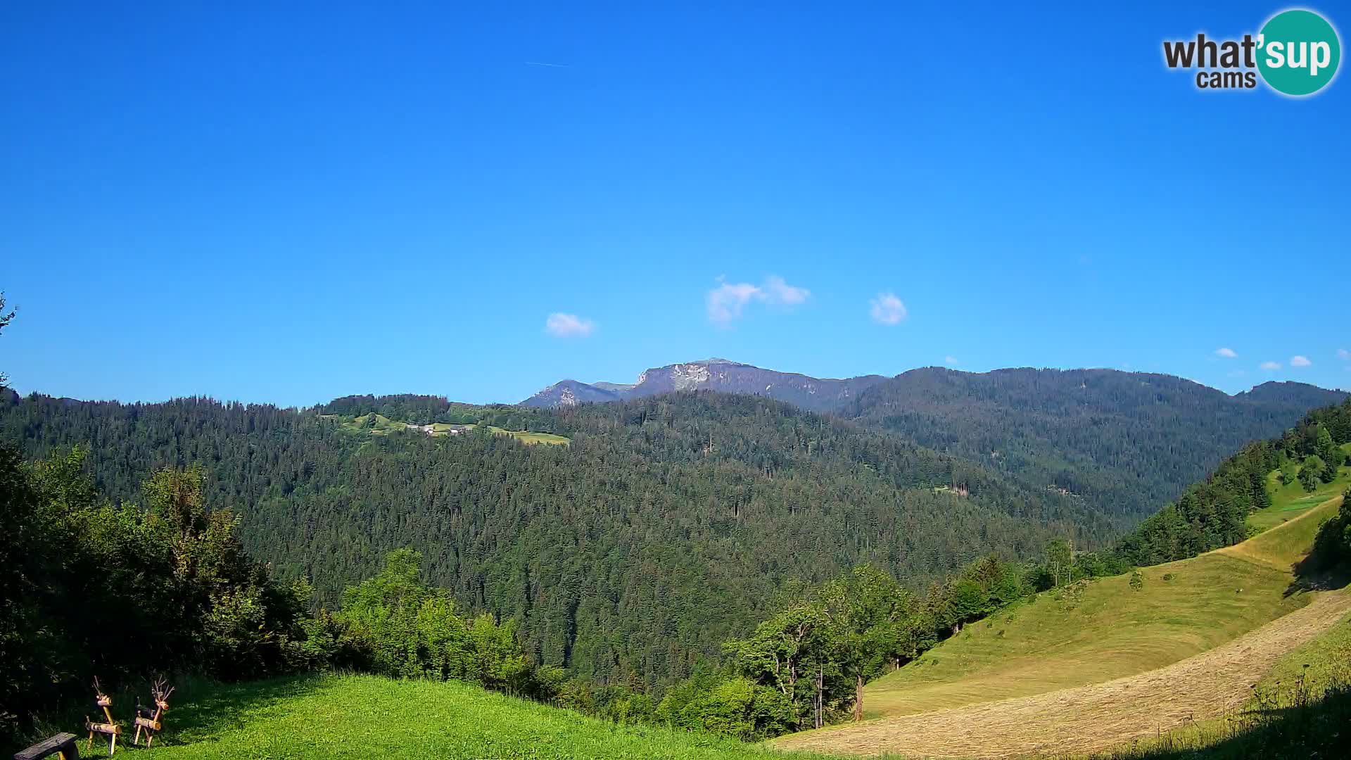 Webcam Brunarica Dražgoše – Vista live sul Ratitovec (1666 m)