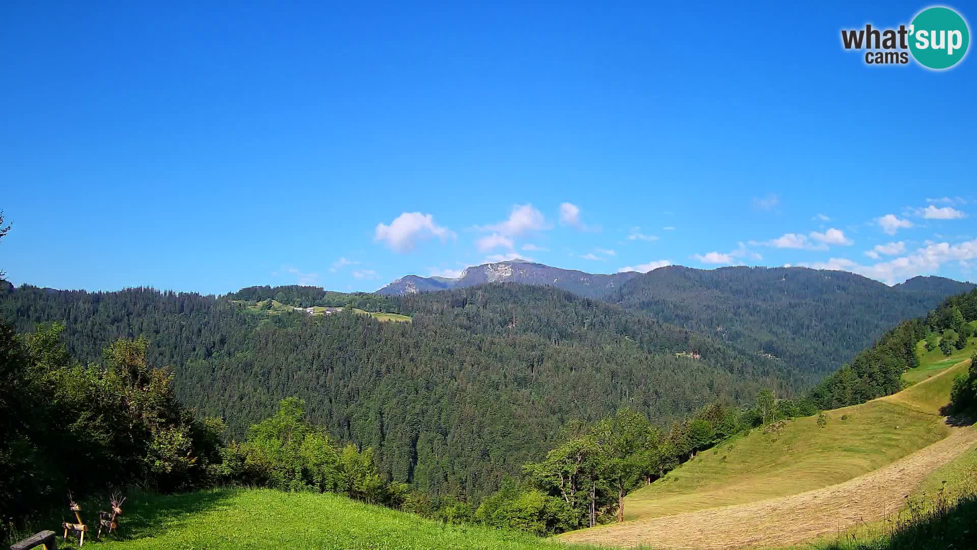 Webcam Brunarica Dražgoše – Liveblick auf Ratitovec (1666 m)