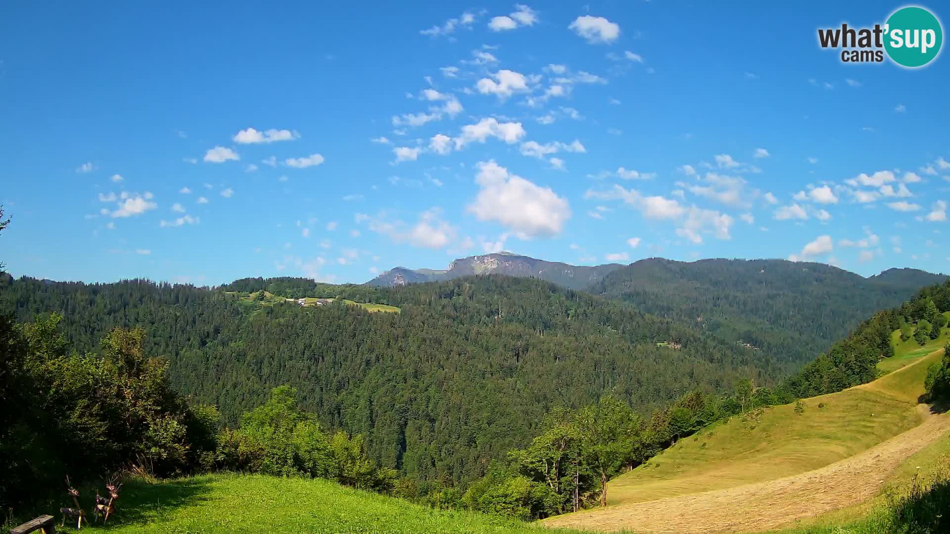 Web kamera Brunarica Dražgoše – Pogled uživo na Ratitovec (1666 m)