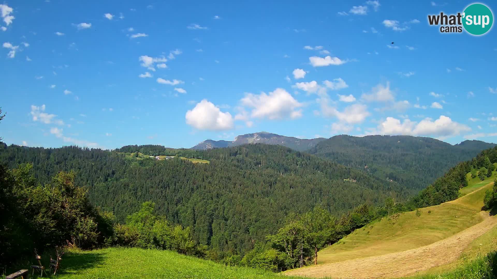 Webcam Brunarica Dražgoše – Liveblick auf Ratitovec (1666 m)
