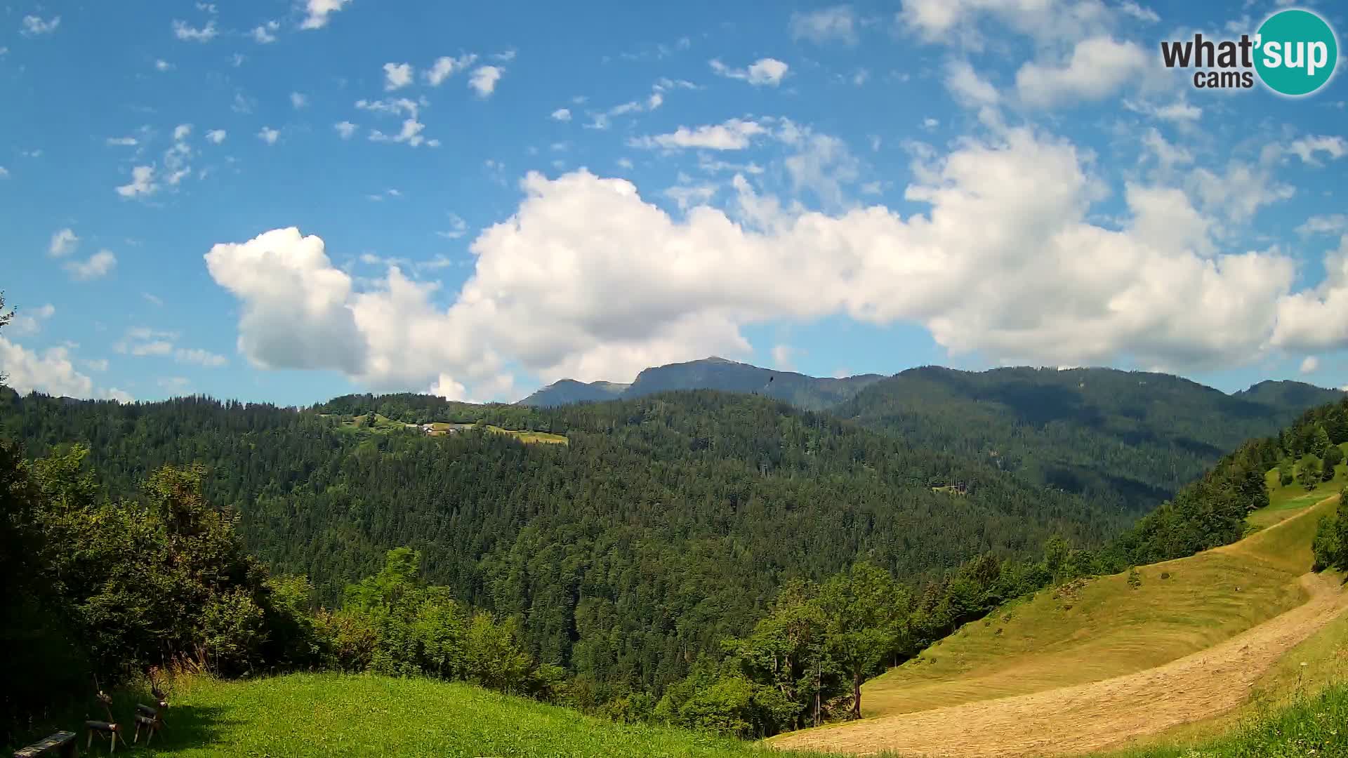 Webcam Brunarica Dražgoše – Live View of Ratitovec (1666 m)