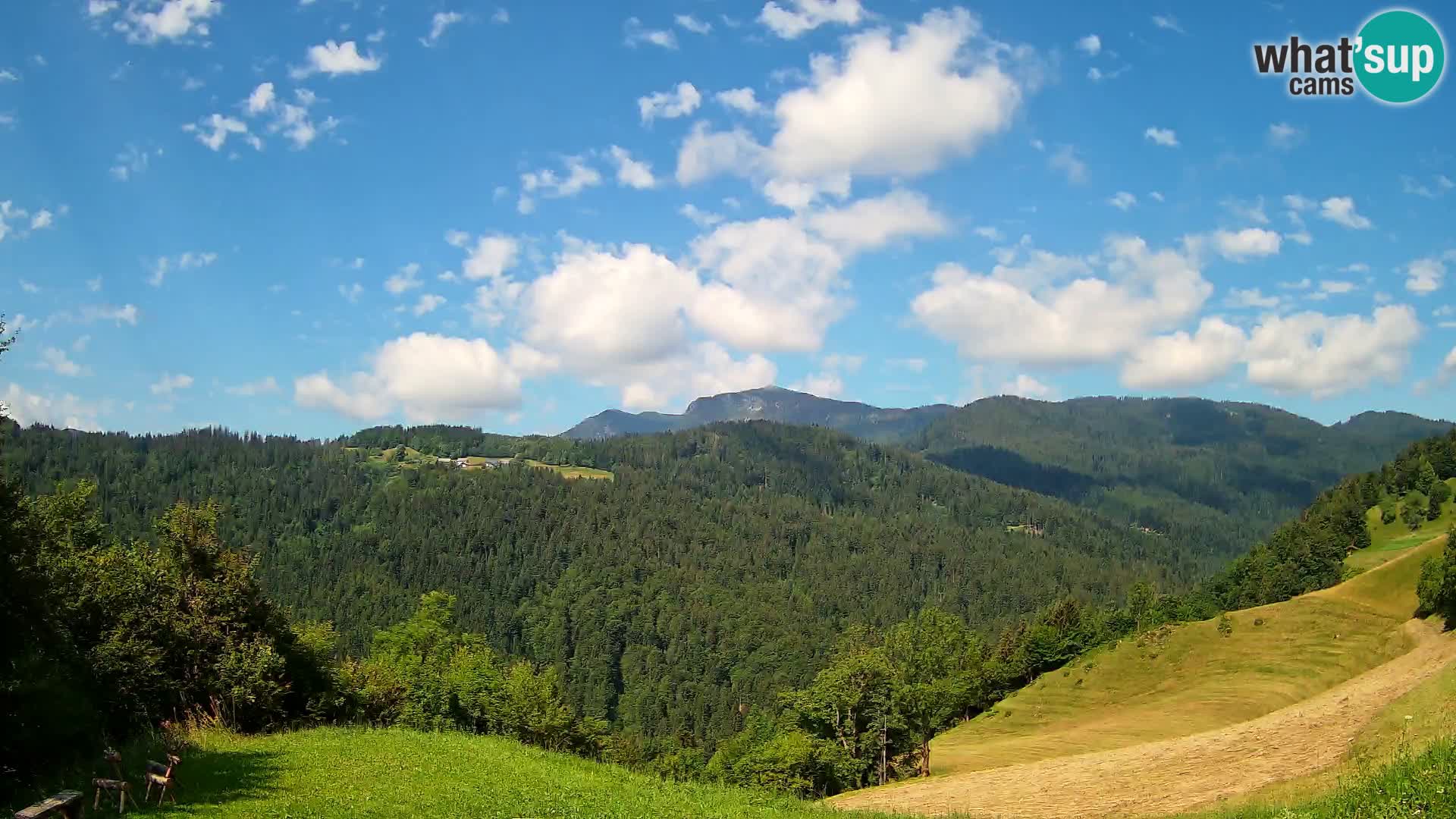 Webcam Brunarica Dražgoše – Liveblick auf Ratitovec (1666 m)