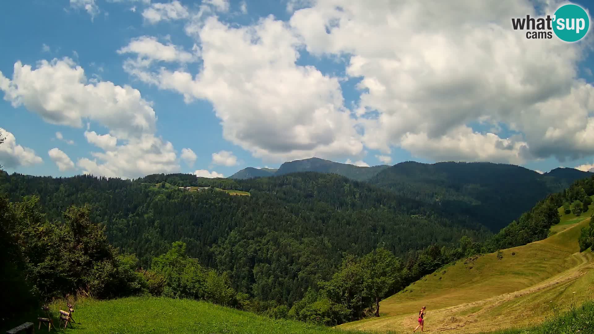 Webcam Brunarica Dražgoše – Live View of Ratitovec (1666 m)