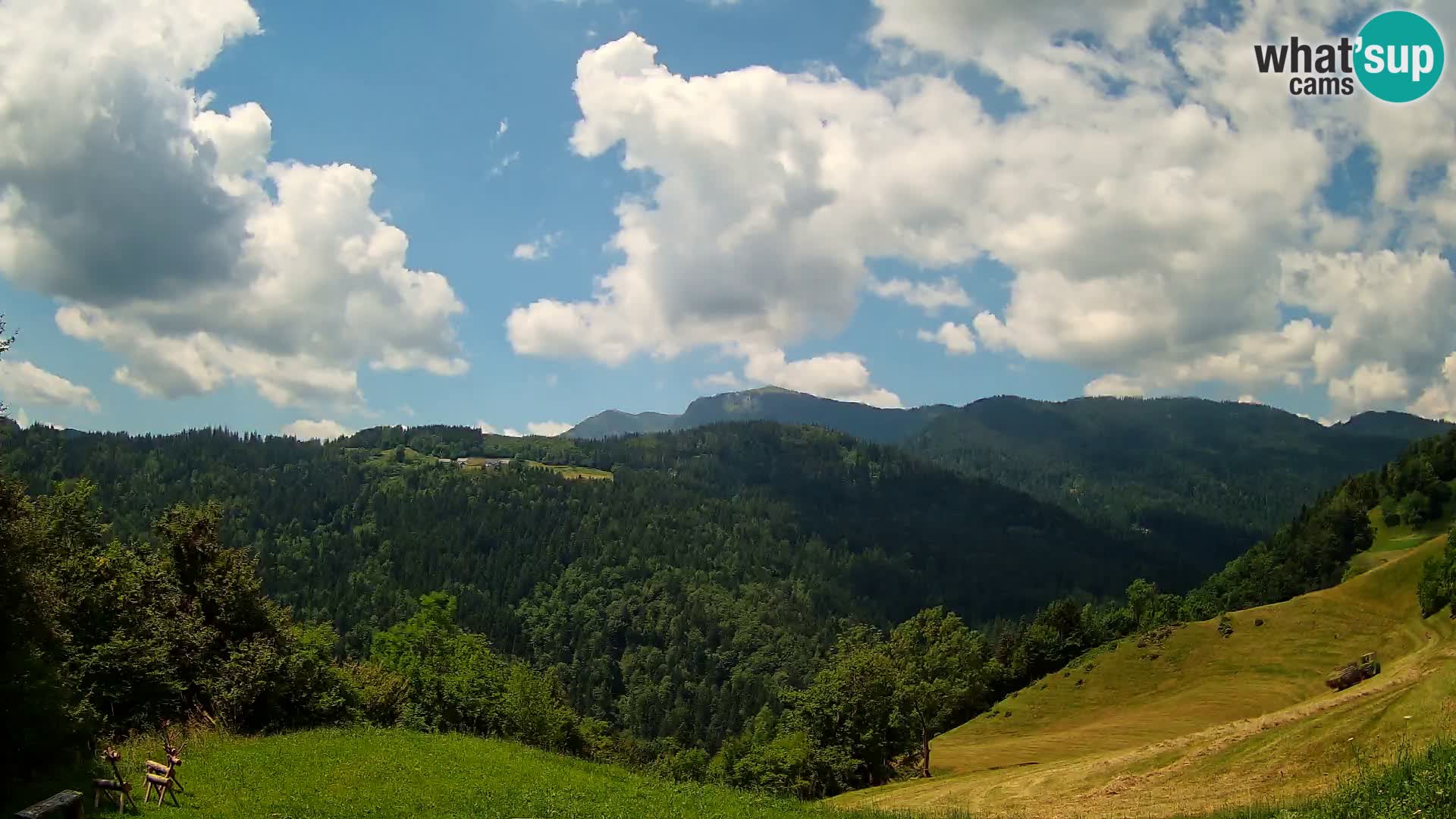 Webcam Brunarica Dražgoše – Live View of Ratitovec (1666 m)