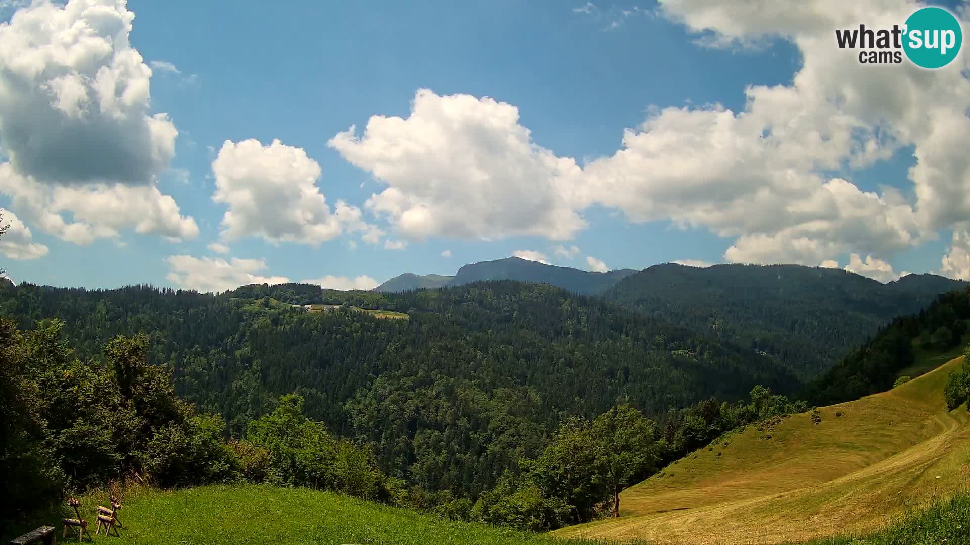 Web kamera Brunarica Dražgoše – Pogled uživo na Ratitovec (1666 m)