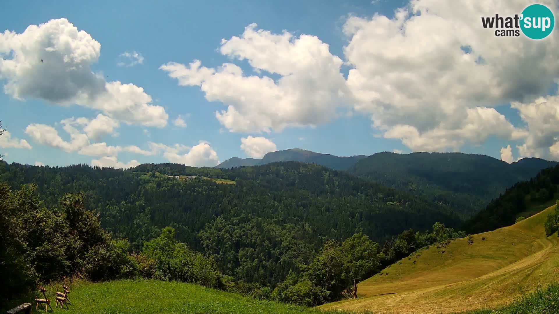 Web kamera Brunarica Dražgoše – Pogled uživo na Ratitovec (1666 m)