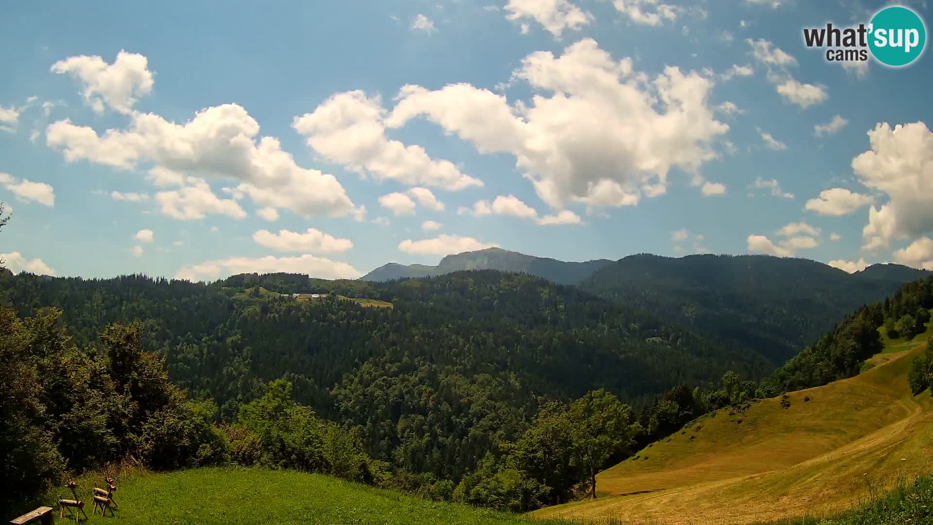 Spletna kamera Brunarica Dražgoše – Pogled v živo na Ratitovec (1666 m)