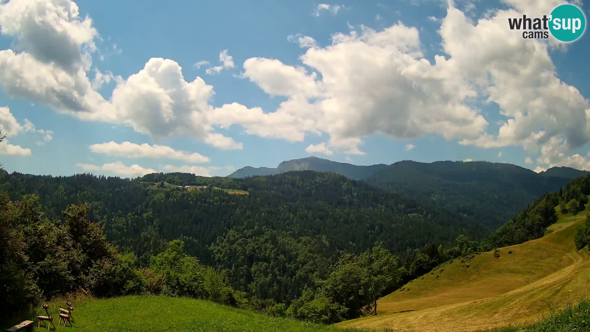 Webcam Brunarica Dražgoše – Live View of Ratitovec (1666 m)