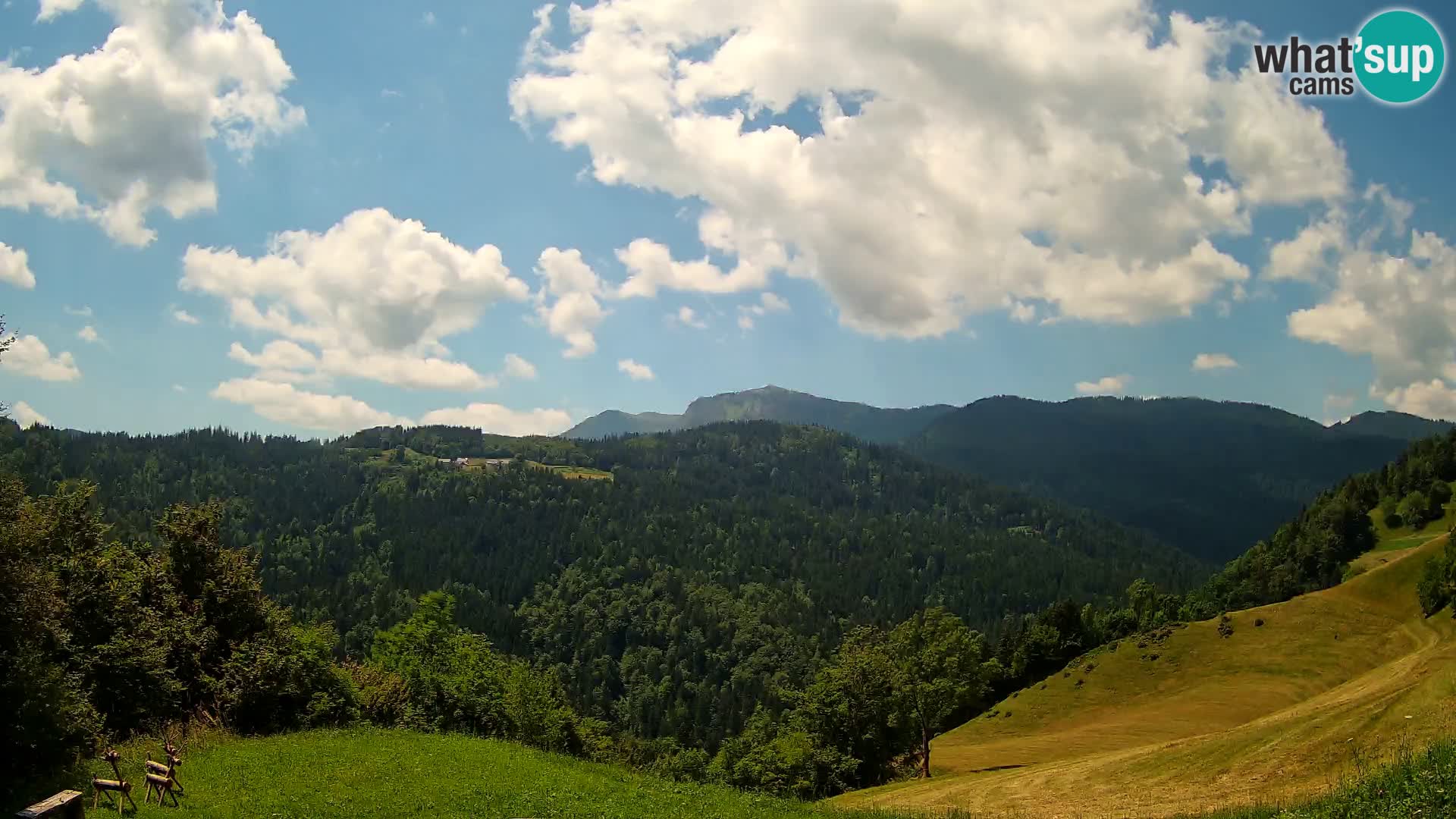 Webcam Brunarica Dražgoše – Live View of Ratitovec (1666 m)