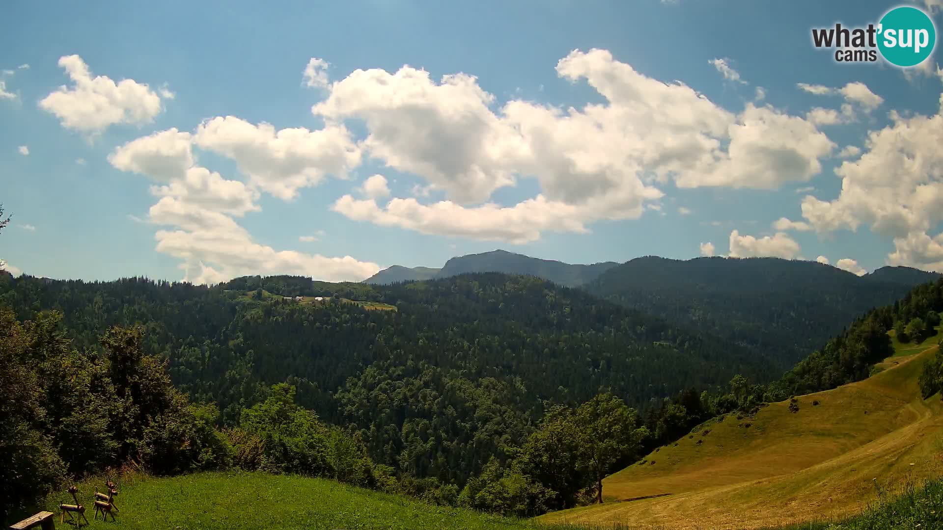 Webcam Brunarica Dražgoše – Vista live sul Ratitovec (1666 m)