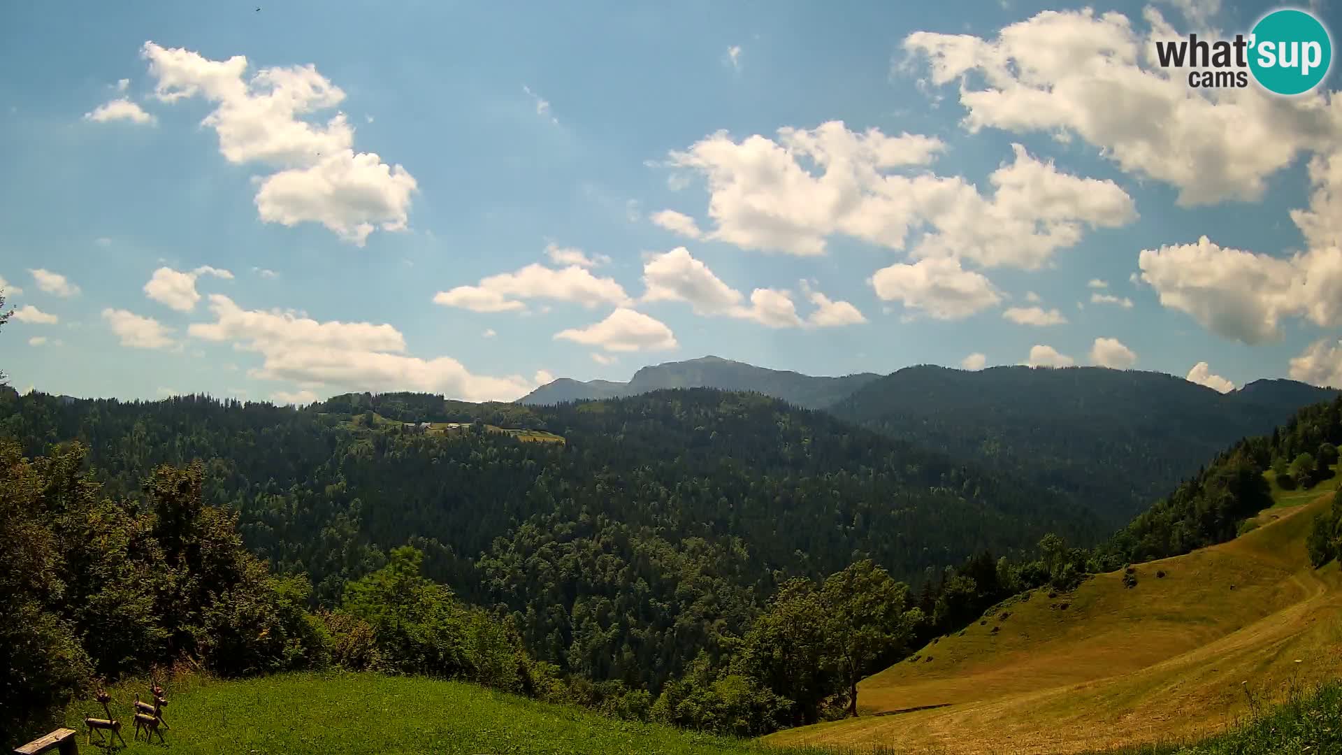 Web kamera Brunarica Dražgoše – Pogled uživo na Ratitovec (1666 m)