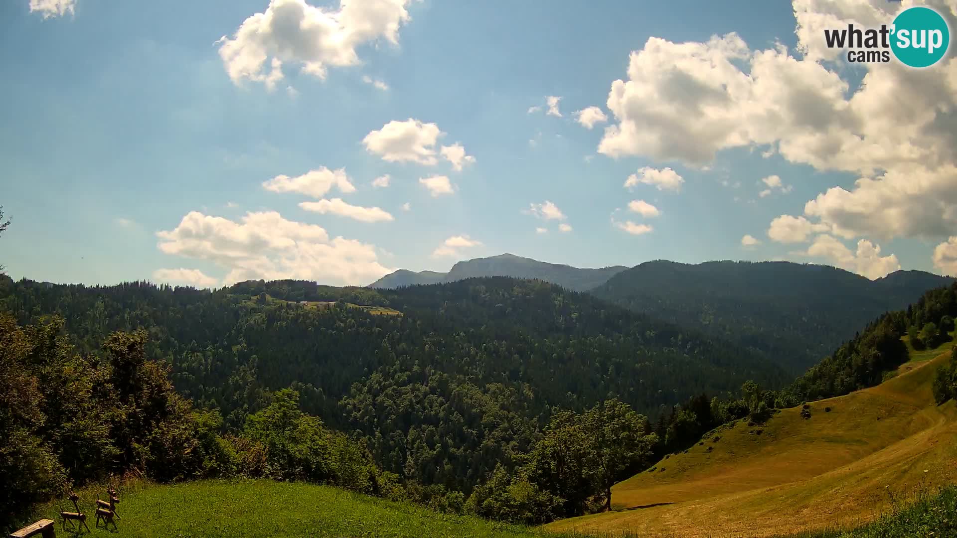 Webcam Brunarica Dražgoše – Live View of Ratitovec (1666 m)
