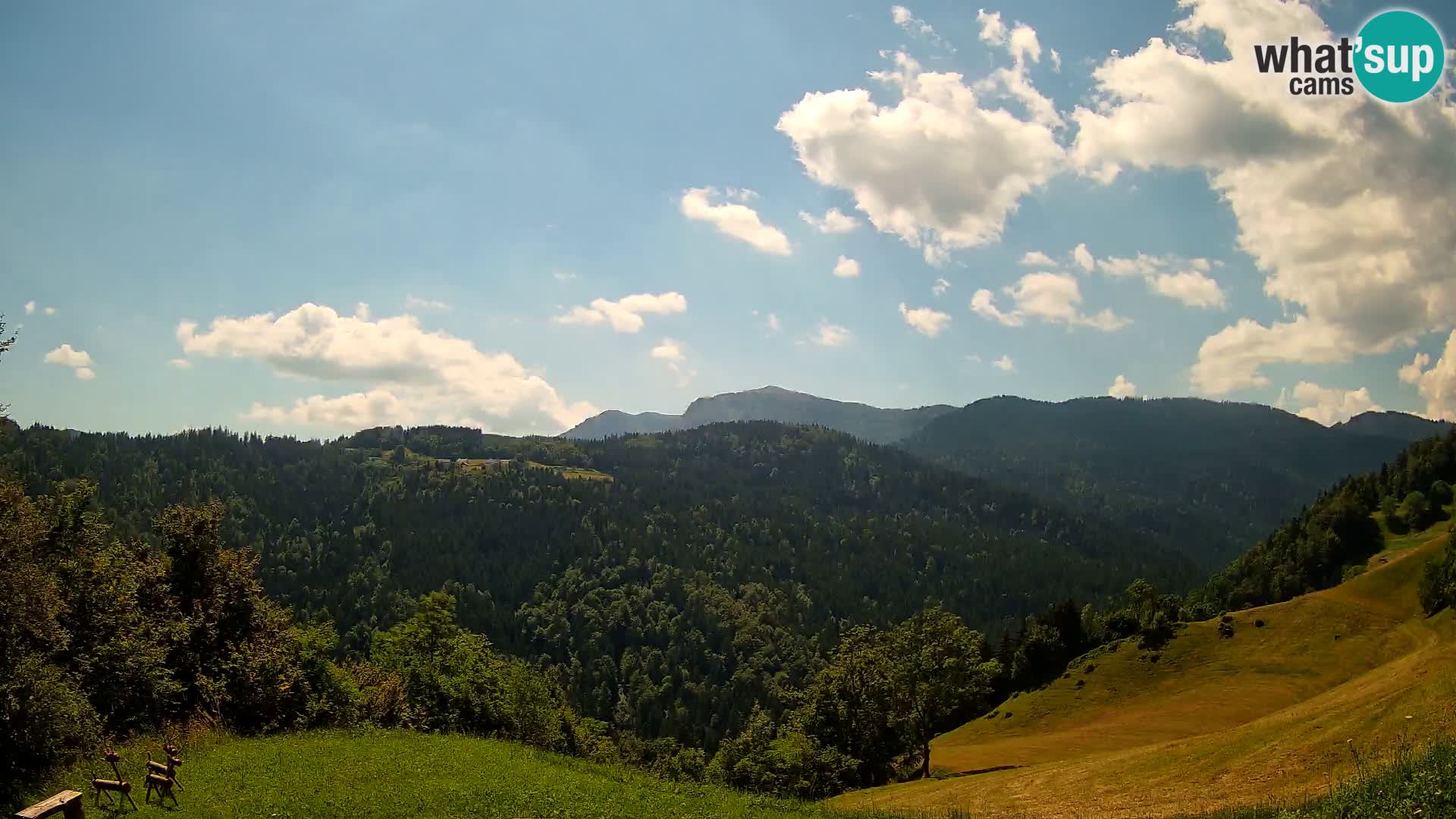 Webcam Brunarica Dražgoše – Live View of Ratitovec (1666 m)
