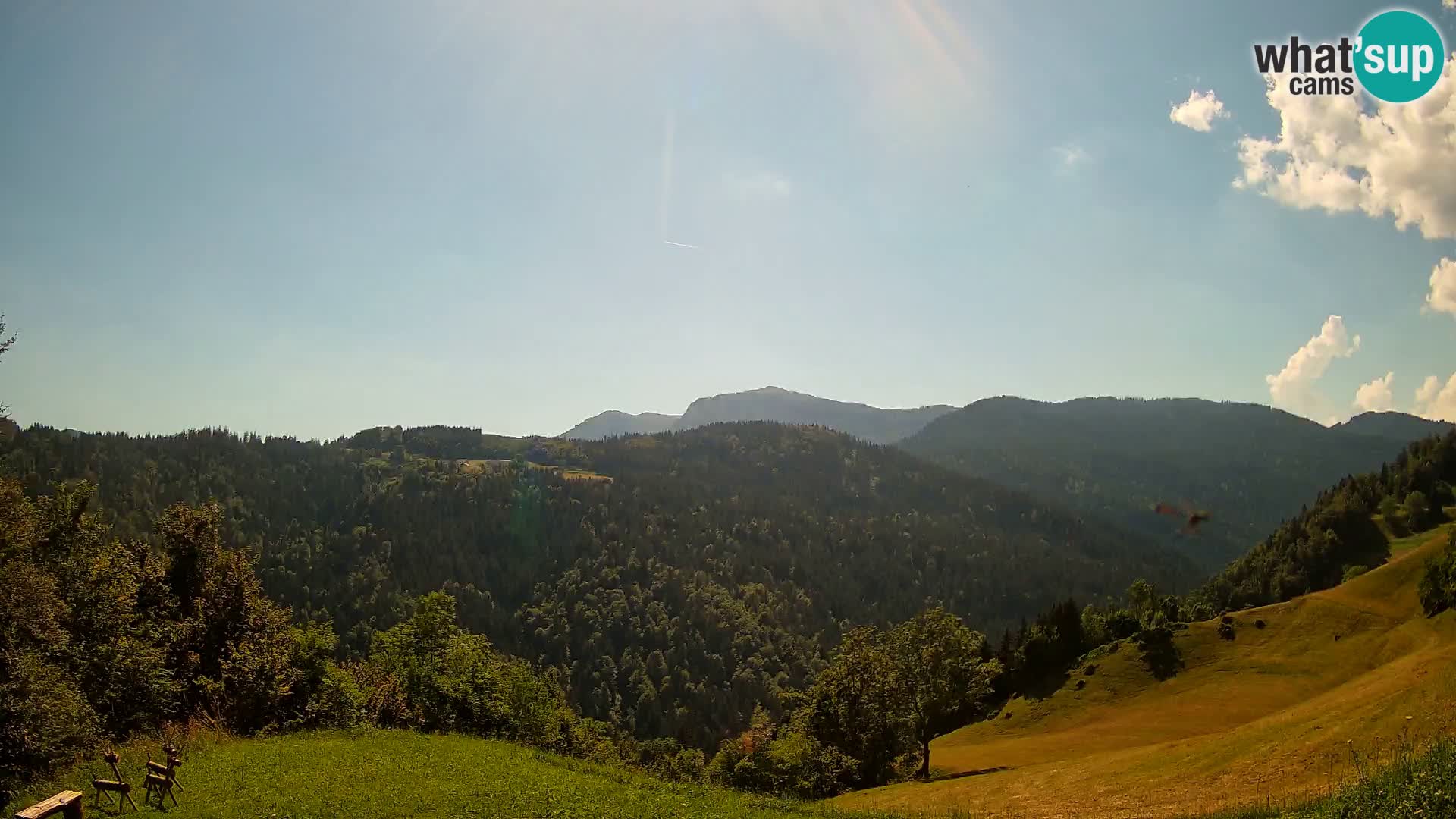 Webcam Brunarica Dražgoše – Live View of Ratitovec (1666 m)