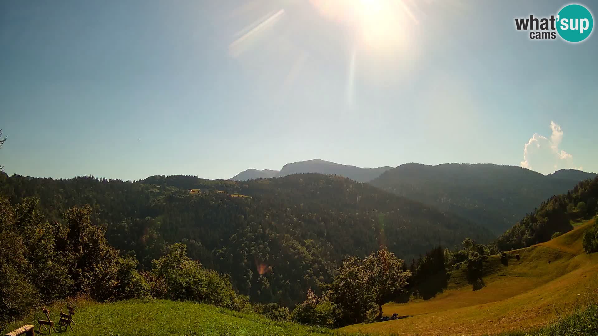 Webcam Brunarica Dražgoše – Live View of Ratitovec (1666 m)