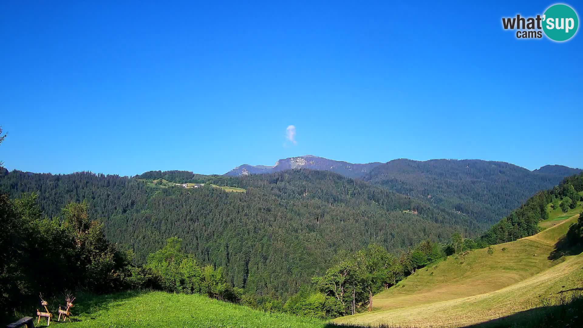 Spletna kamera Brunarica Dražgoše – Pogled v živo na Ratitovec (1666 m)