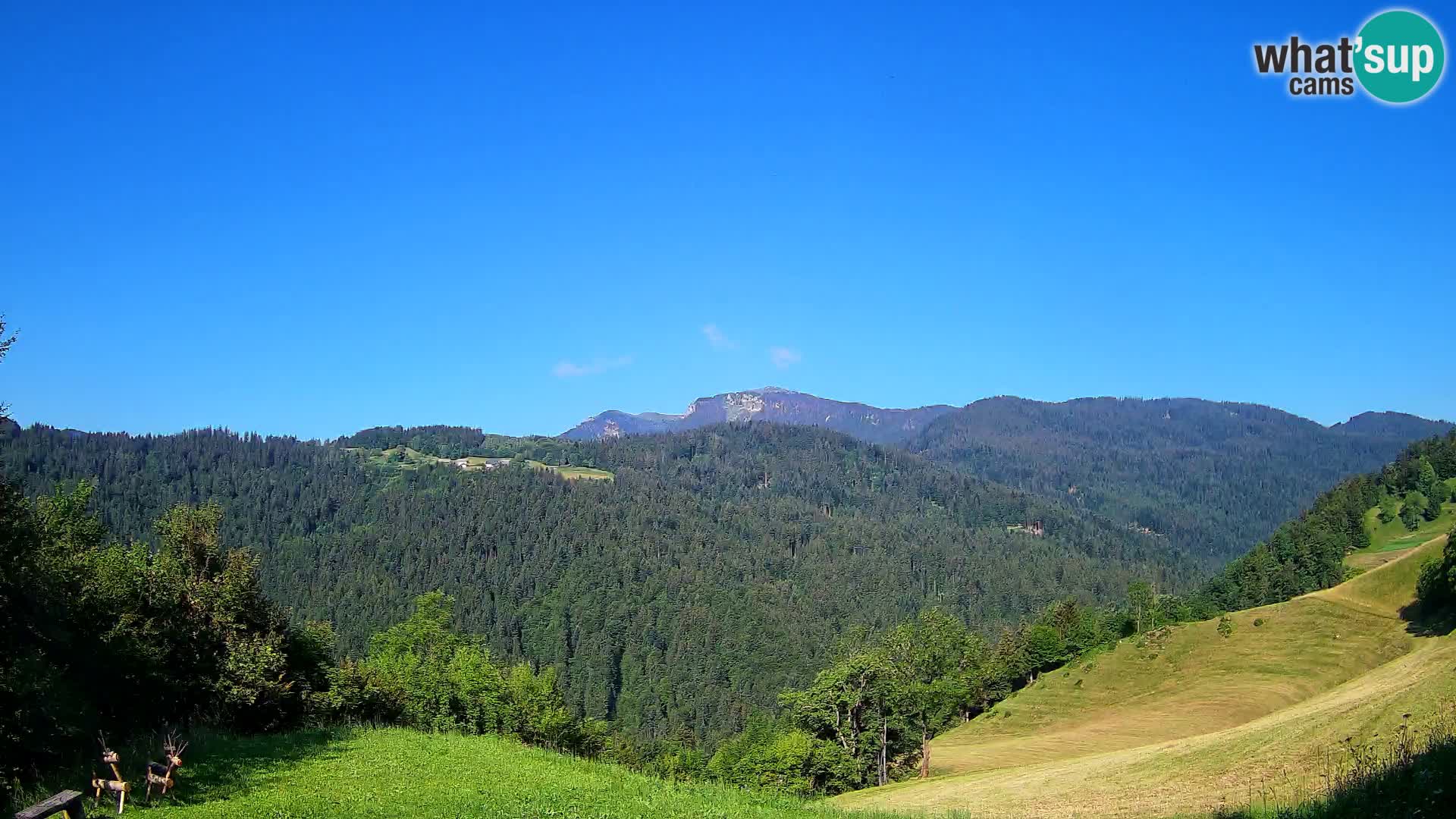 Webcam Brunarica Dražgoše – Live View of Ratitovec (1666 m)