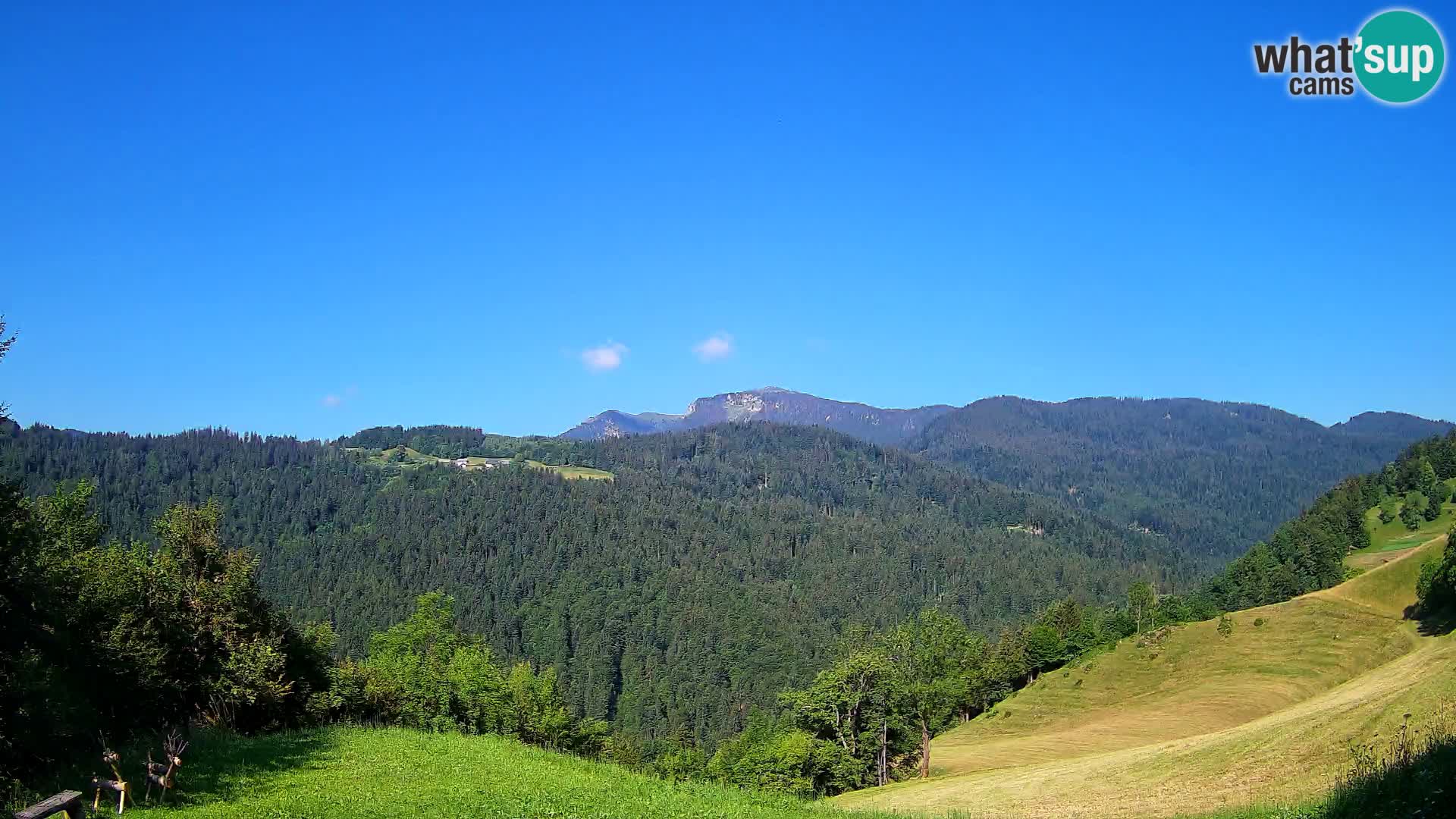 Spletna kamera Brunarica Dražgoše – Pogled v živo na Ratitovec (1666 m)