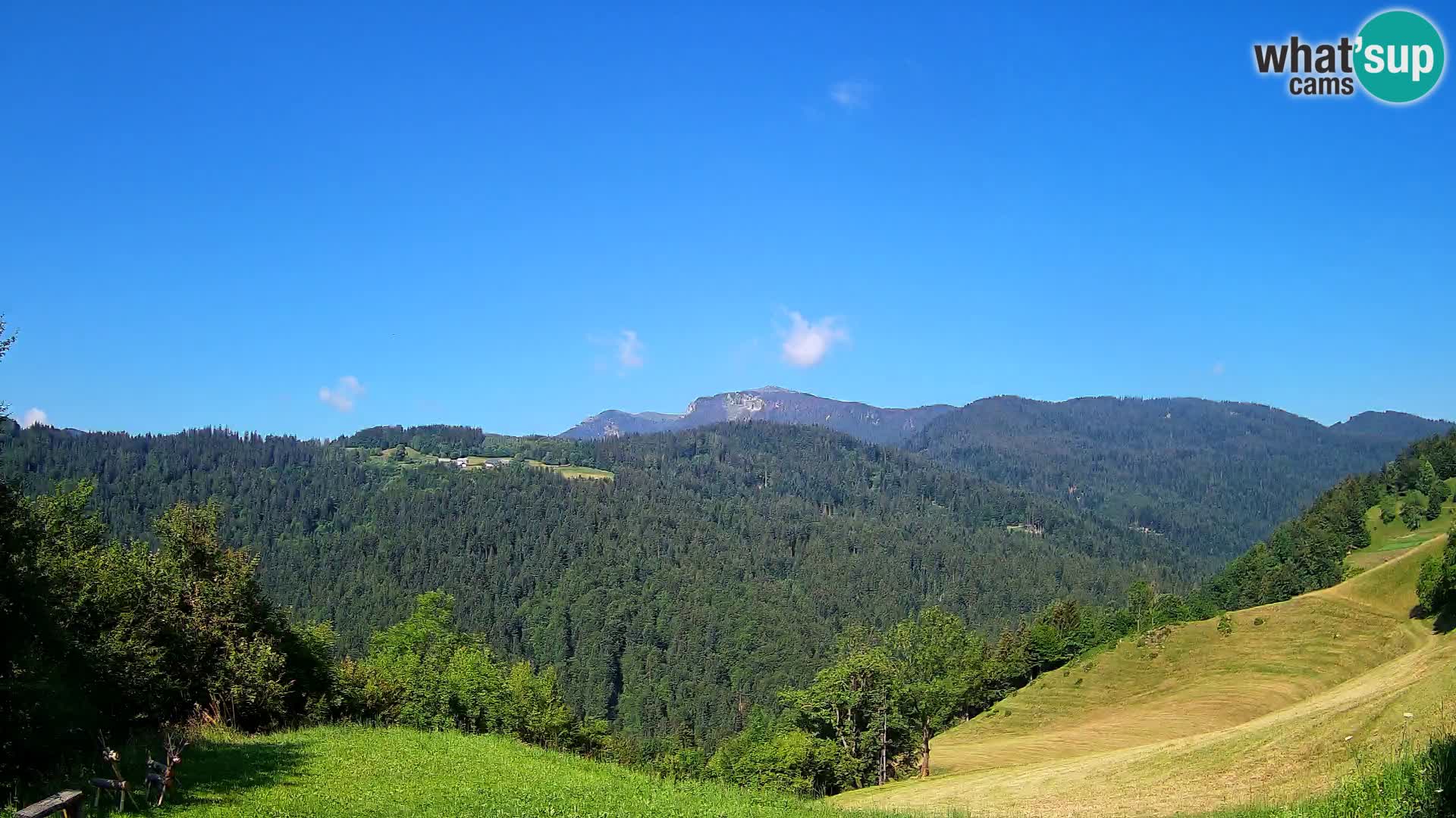 Webcam Brunarica Dražgoše – Live View of Ratitovec (1666 m)