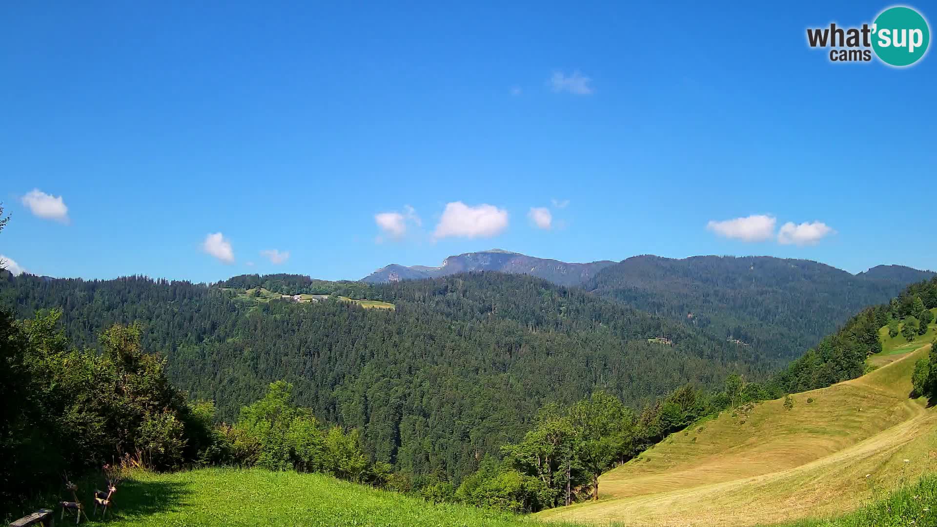 Webcam Brunarica Dražgoše – Live View of Ratitovec (1666 m)