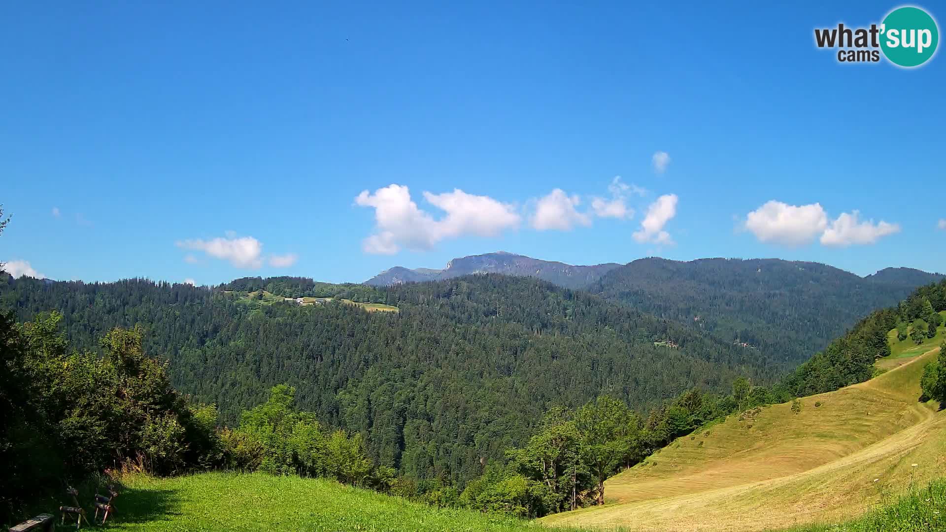 Spletna kamera Brunarica Dražgoše – Pogled v živo na Ratitovec (1666 m)