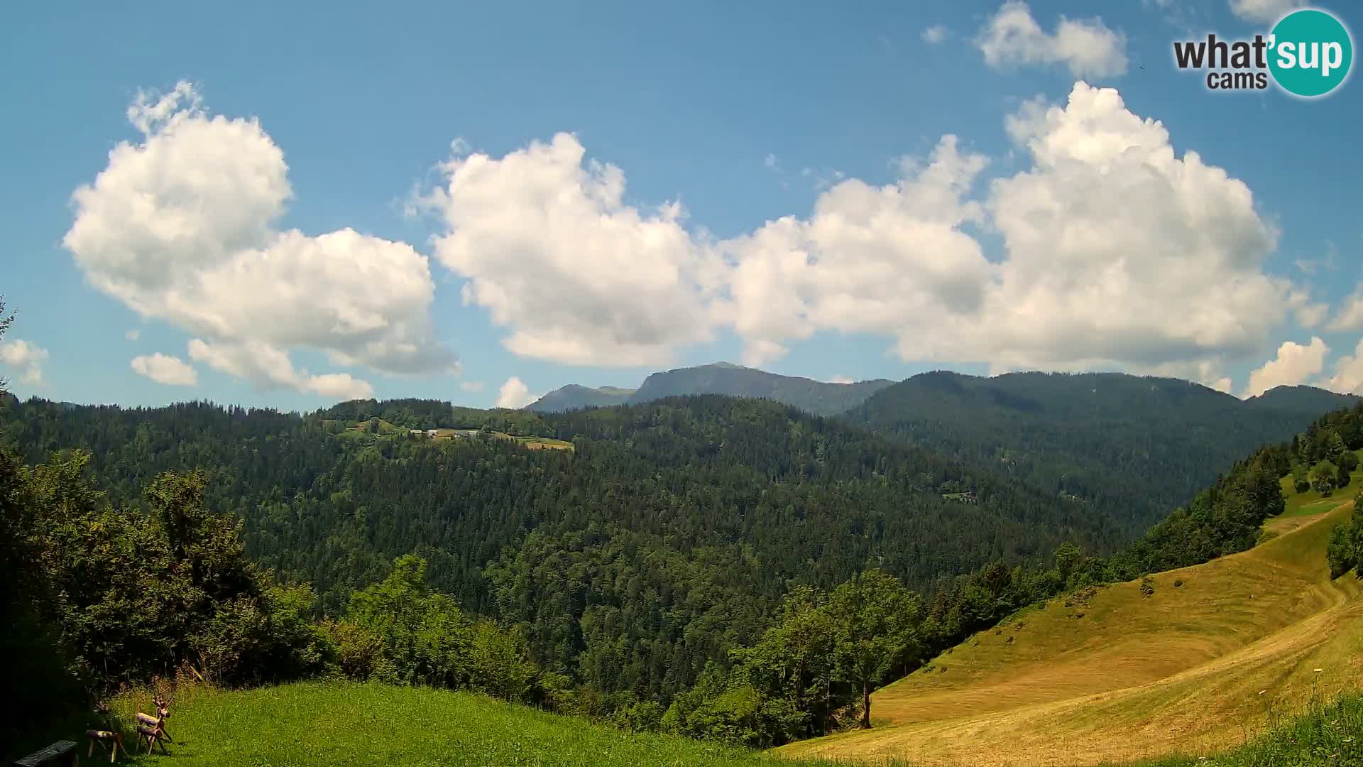 Web kamera Brunarica Dražgoše – Pogled uživo na Ratitovec (1666 m)