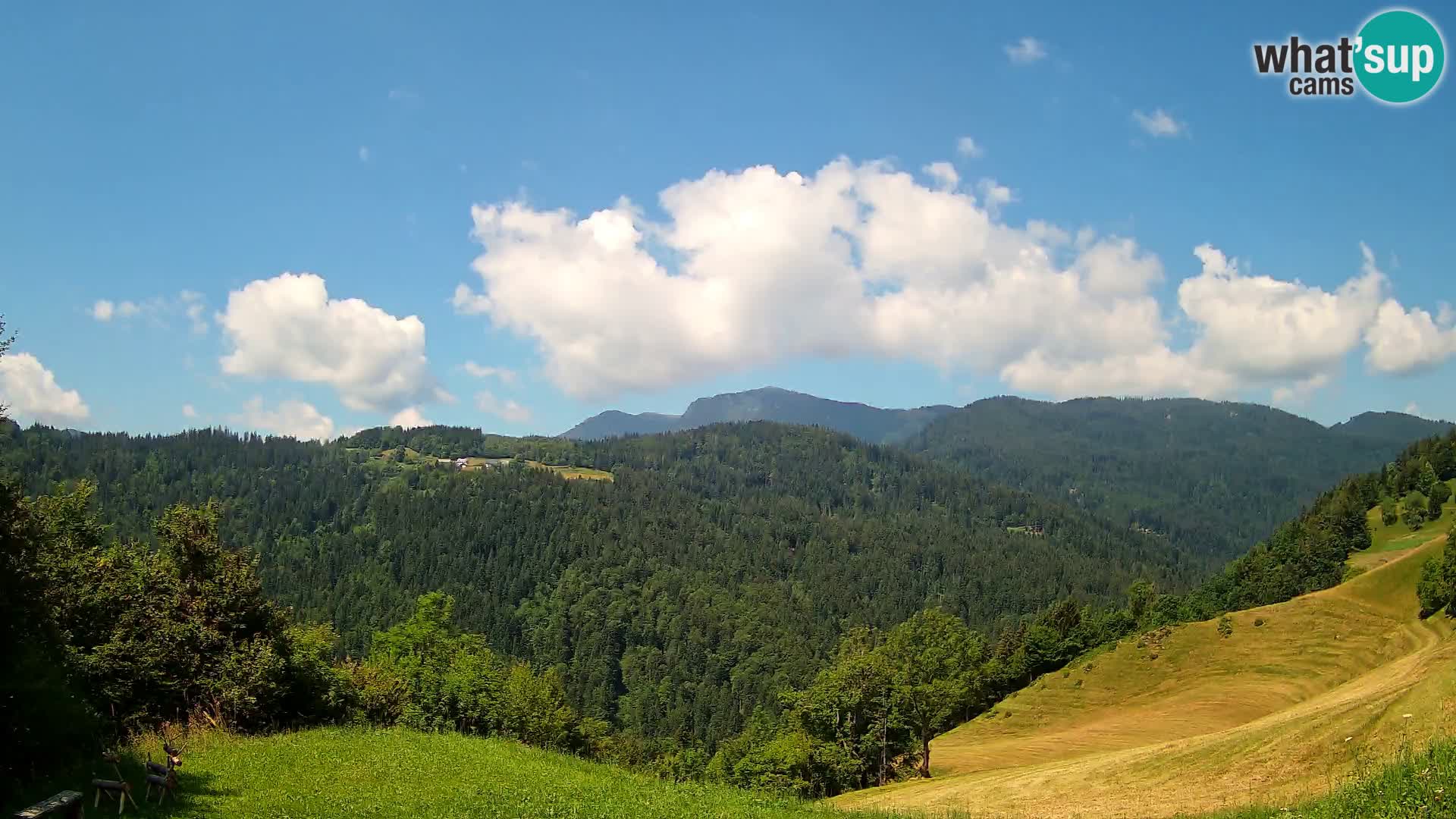 Webcam Brunarica Dražgoše – Live View of Ratitovec (1666 m)
