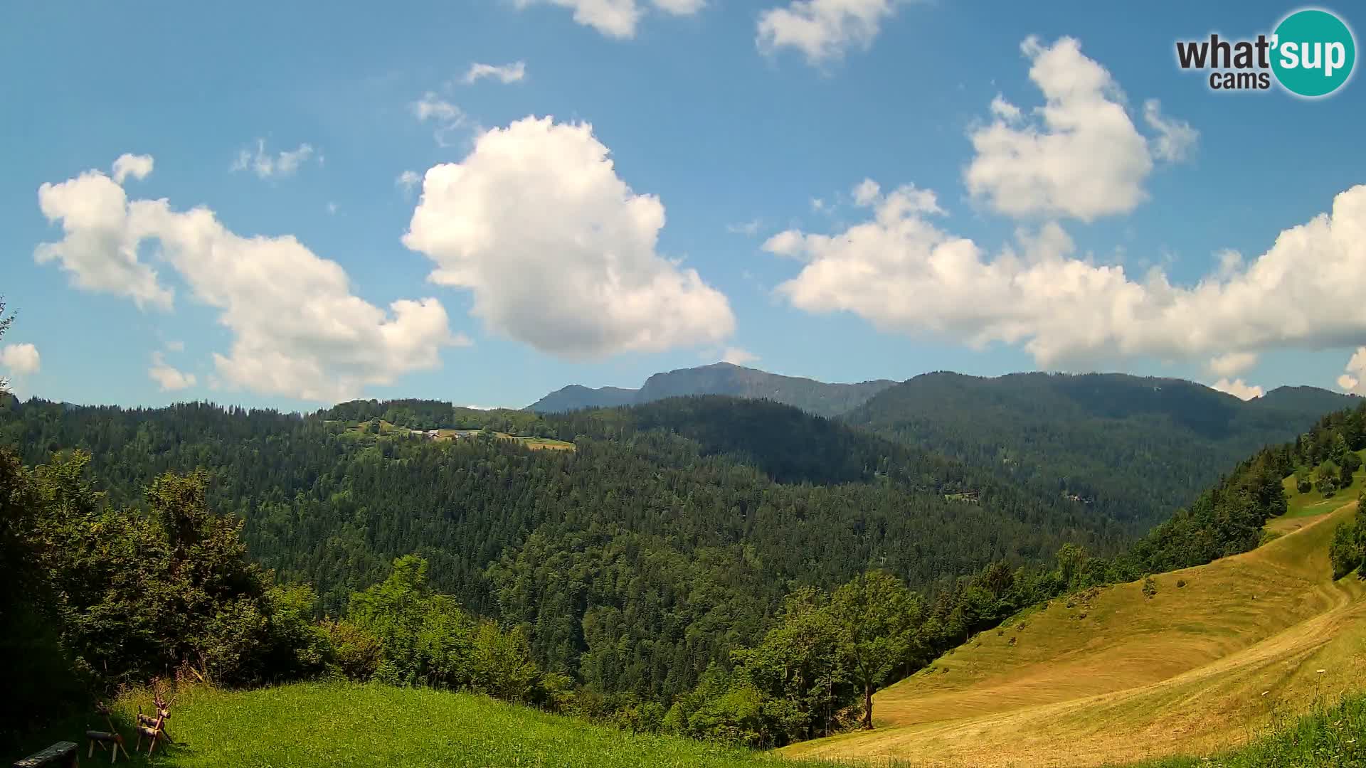 Webcam Brunarica Dražgoše – Live View of Ratitovec (1666 m)