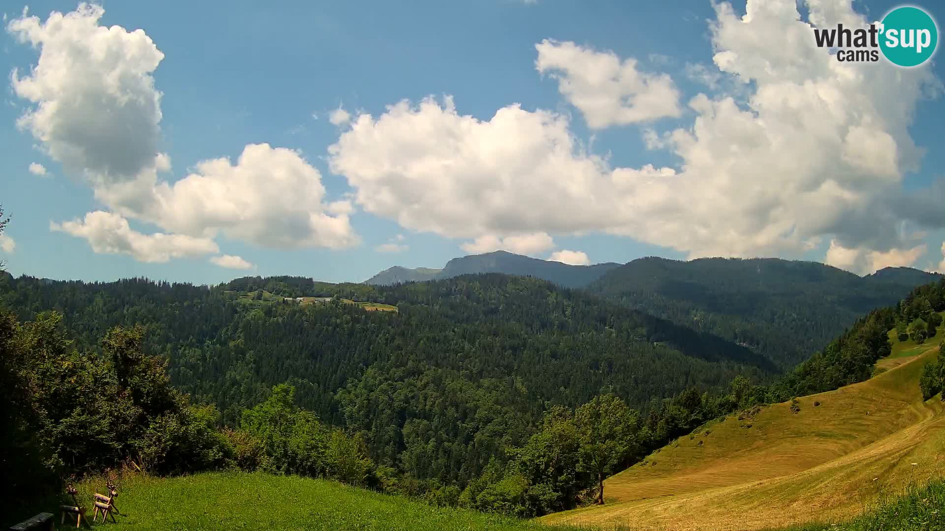 Webcam Brunarica Dražgoše – Live View of Ratitovec (1666 m)