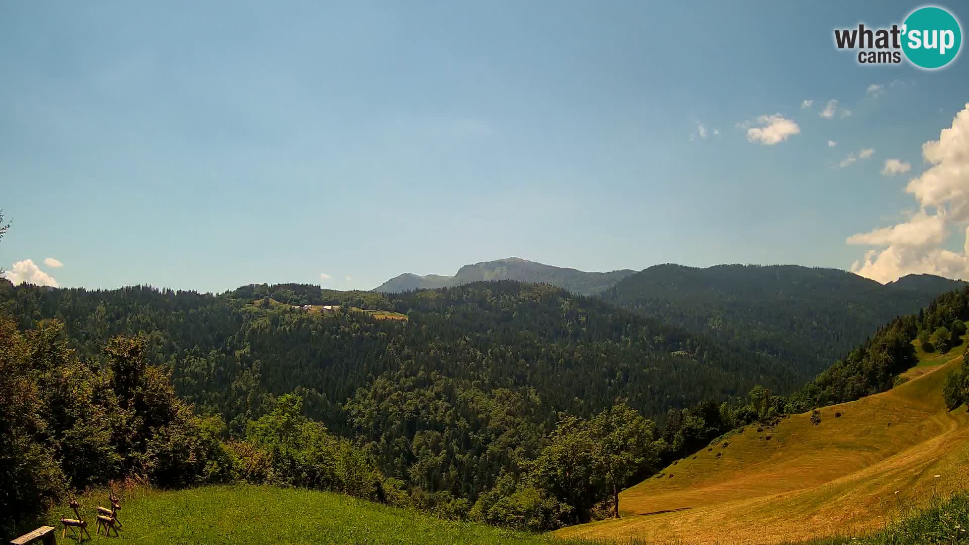 Webcam Brunarica Dražgoše – Live View of Ratitovec (1666 m)