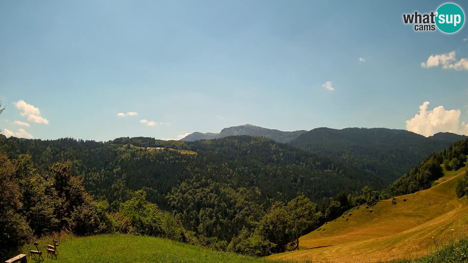 Webcam Brunarica Dražgoše – Live View of Ratitovec (1666 m)