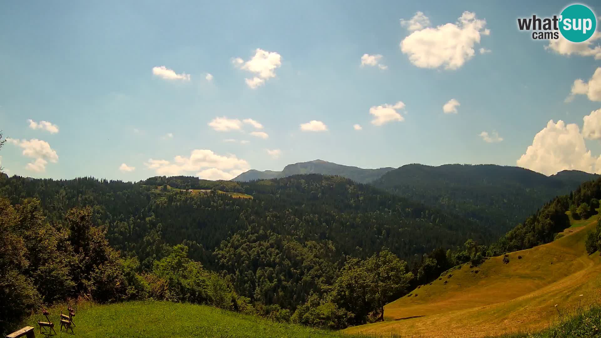 Webcam Brunarica Dražgoše – Live View of Ratitovec (1666 m)
